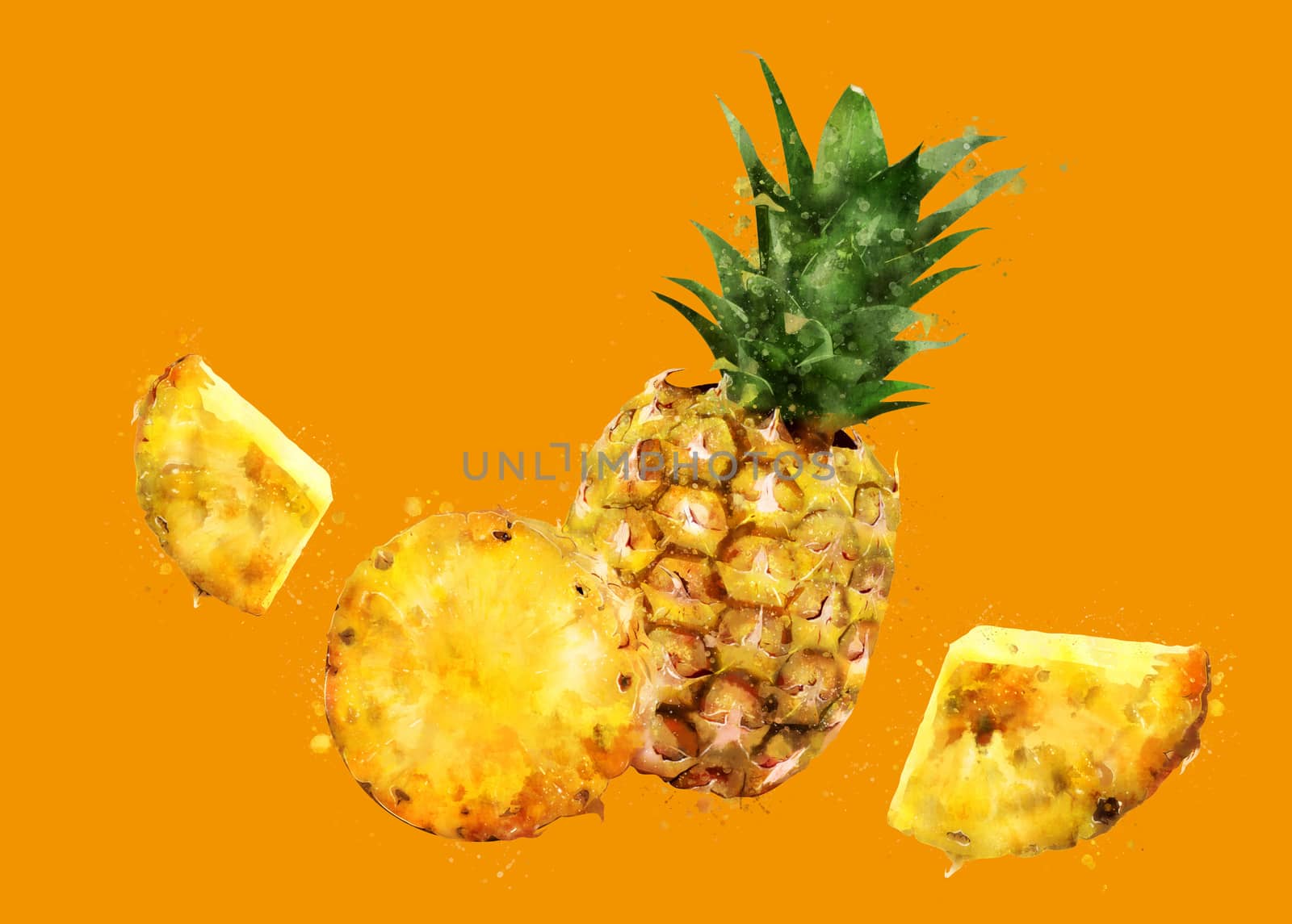 Pineapple, hand-painted illustration on a orange background