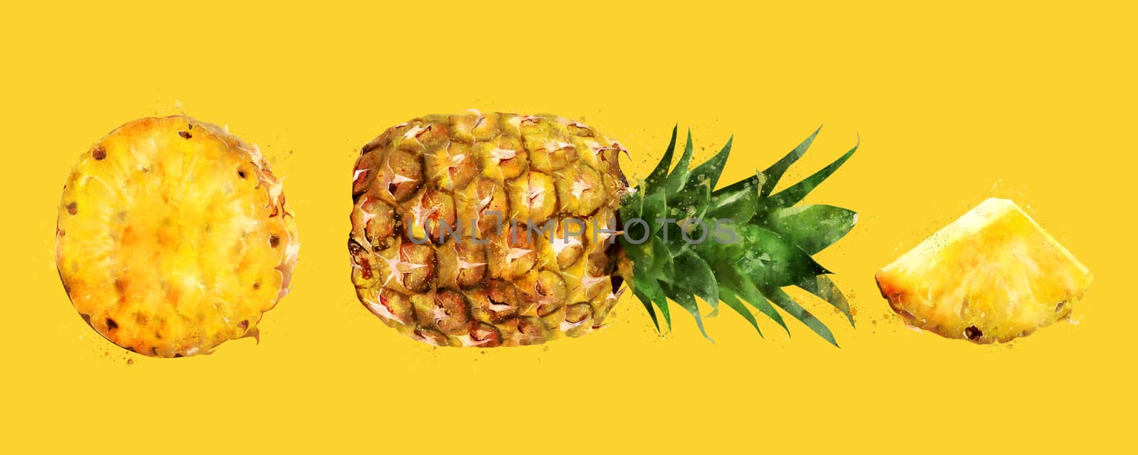 Pineapple, isolated hand-painted illustration on a yellow background