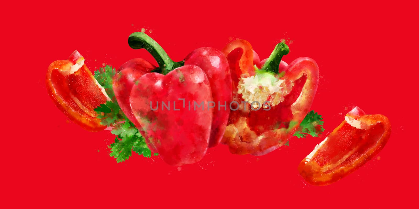 Red Pepper on red background. Watercolor illustration by ConceptCafe
