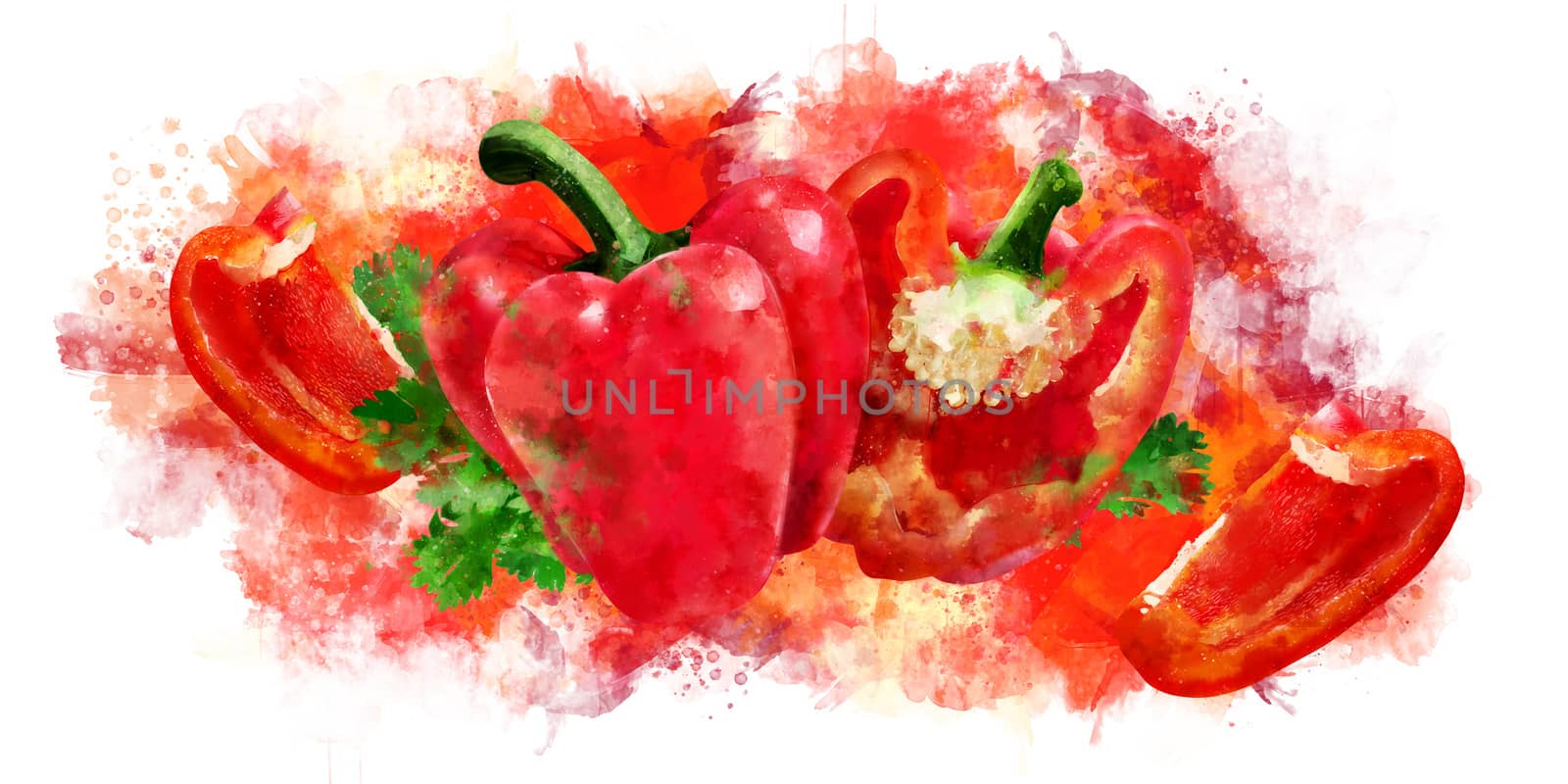 Red Pepper on white background. Watercolor illustration by ConceptCafe