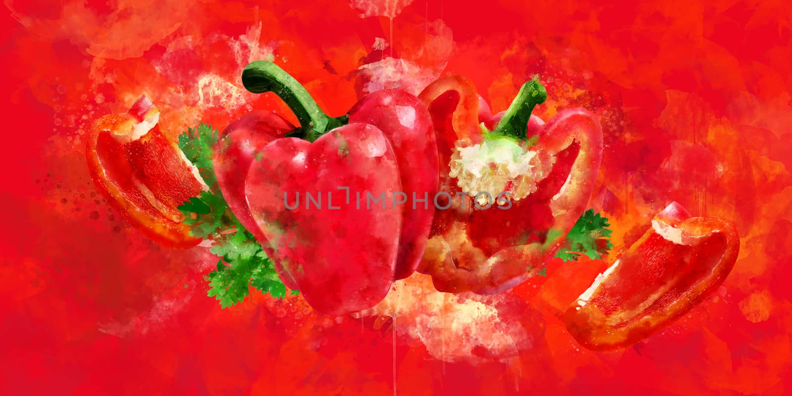 Red Pepper on red background. Watercolor illustration by ConceptCafe