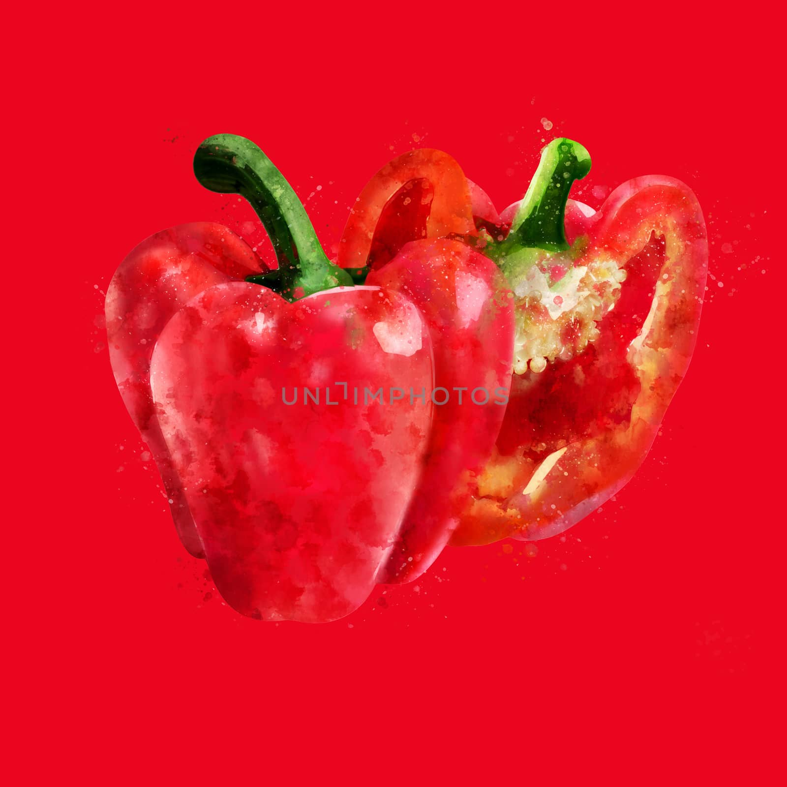 Red Pepper, hand-painted illustration on a red background