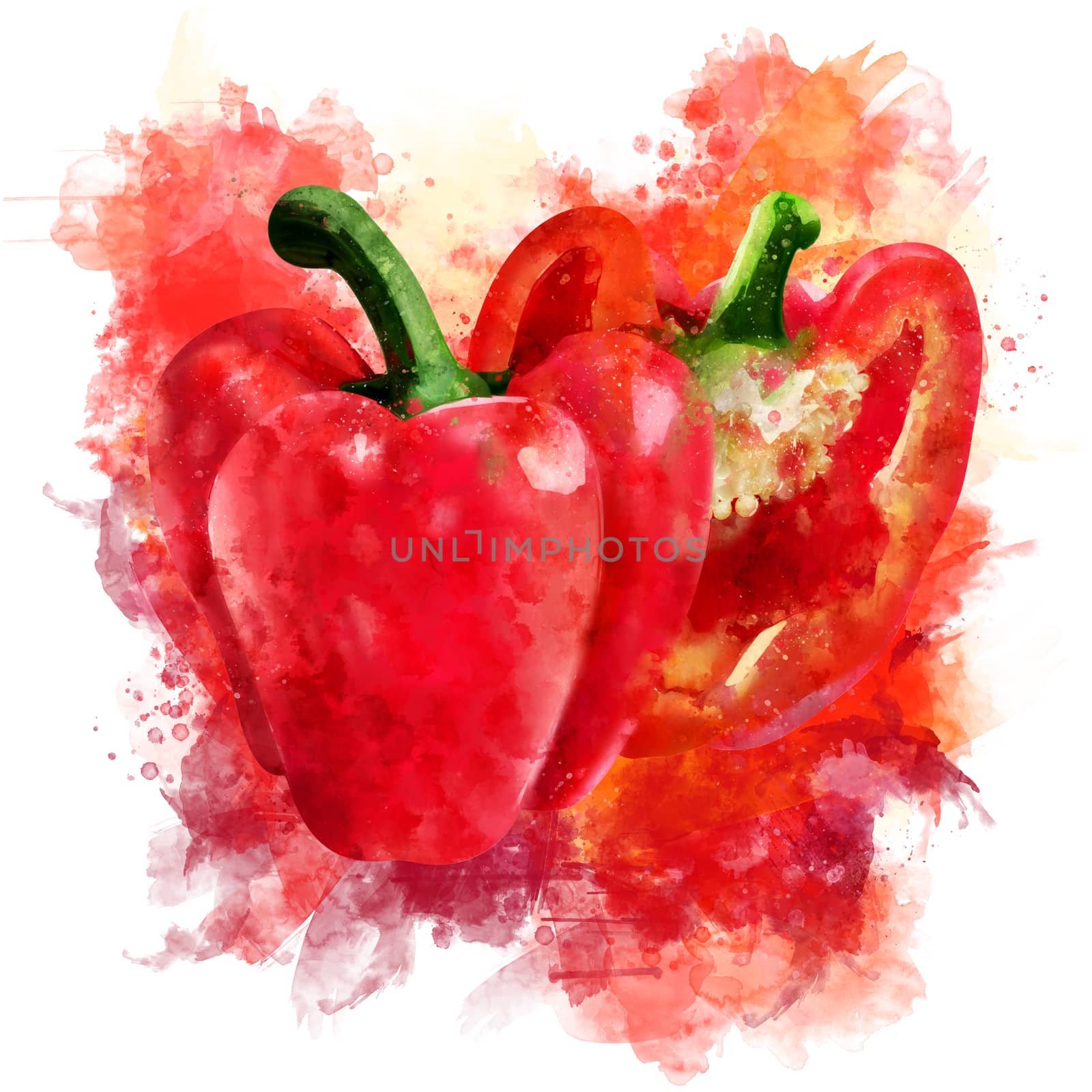 Red Pepper on white background. Watercolor illustration by ConceptCafe