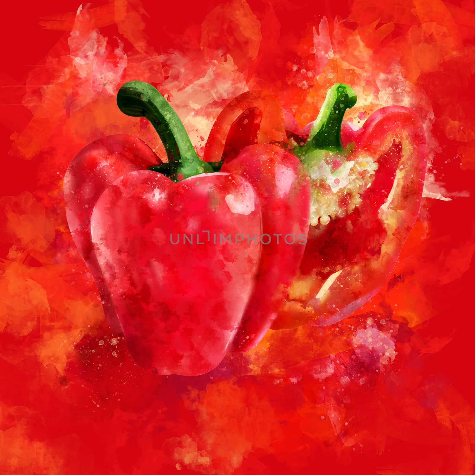 Red Pepper on red background. Watercolor illustration by ConceptCafe