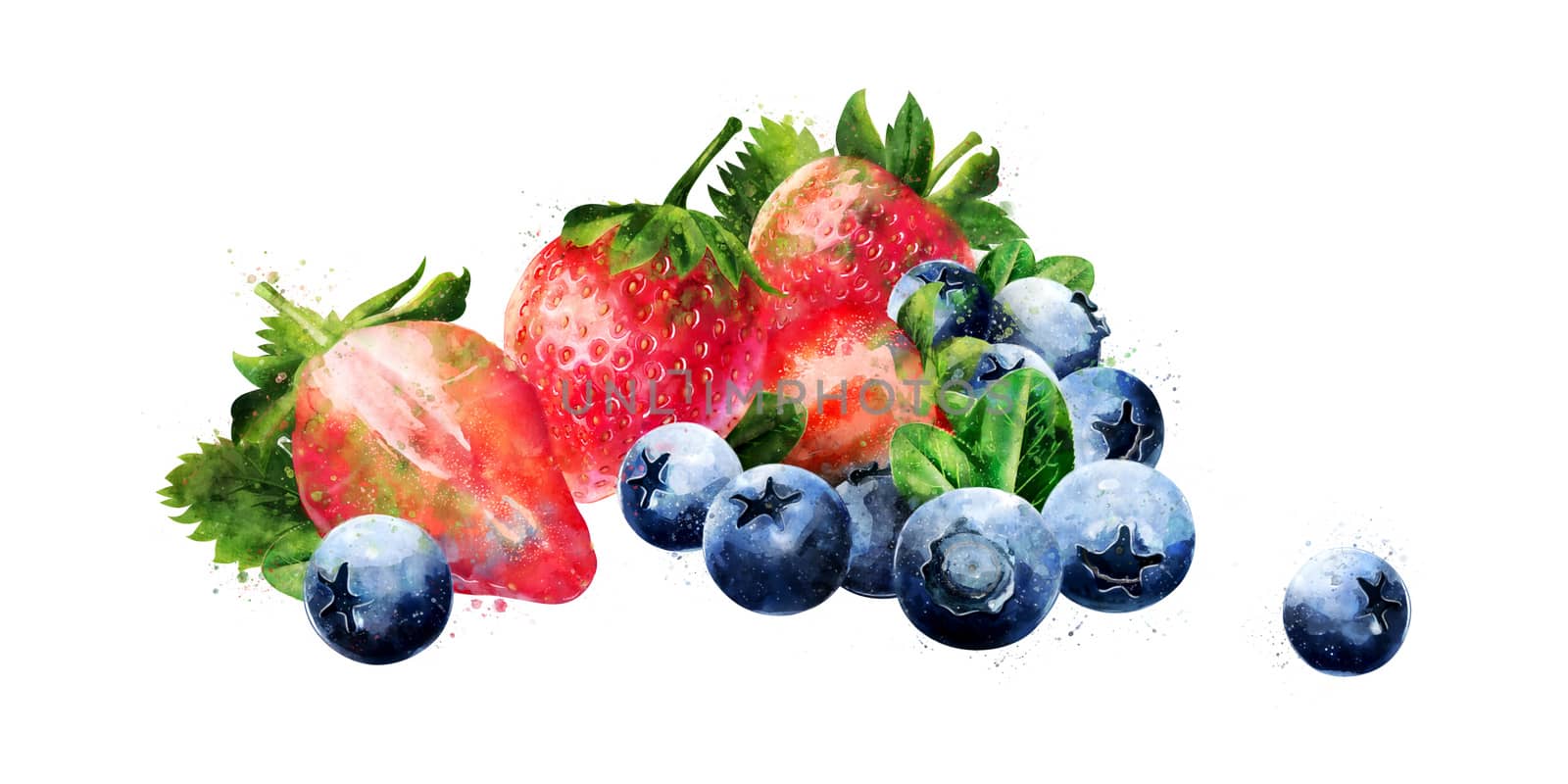 Blueberries and strawberries on white background. Watercolor illustration by ConceptCafe