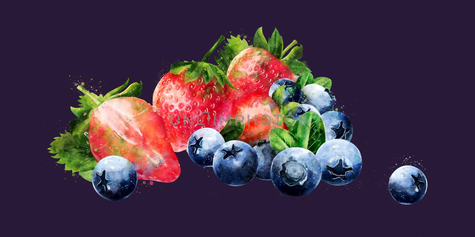 Blueberries and strawberries on dark background. Watercolor illustration by ConceptCafe