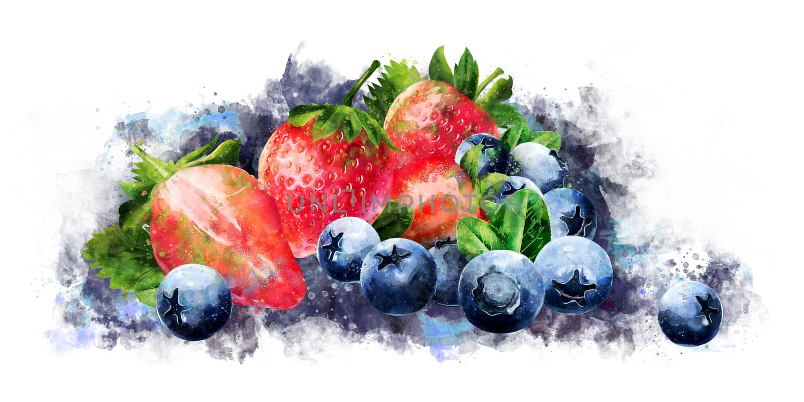 Blueberries and strawberries on white background. Watercolor illustration by ConceptCafe