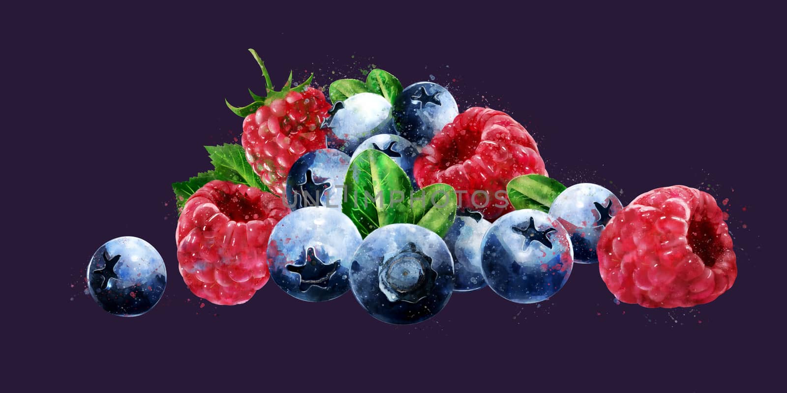 Raspberries, cranberries and blueberries on dark background. Watercolor illustration by ConceptCafe