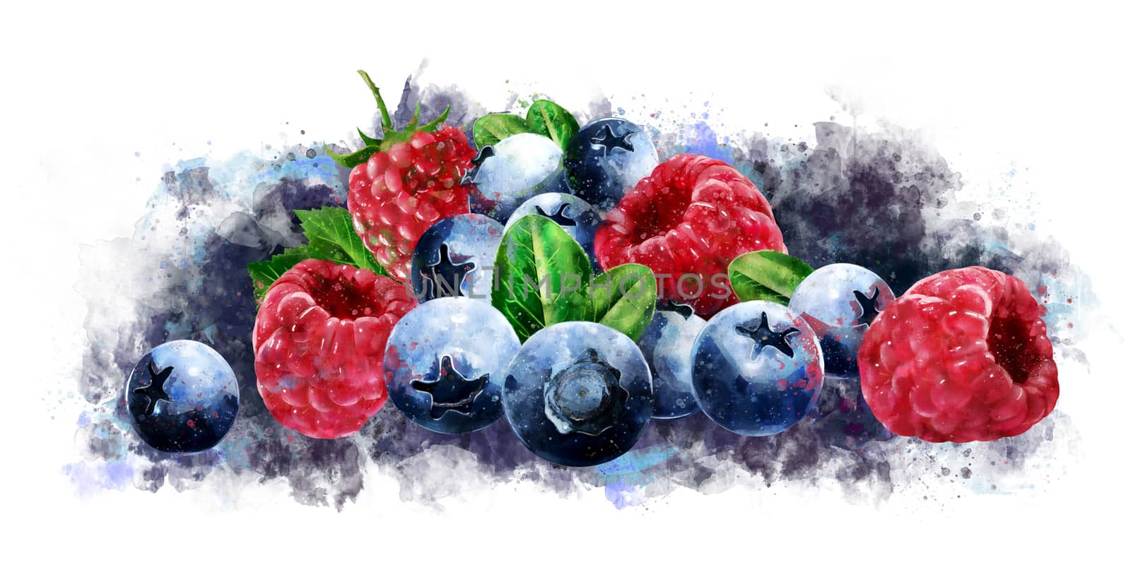 Raspberries, cranberries and blueberries on white background. Watercolor illustration by ConceptCafe