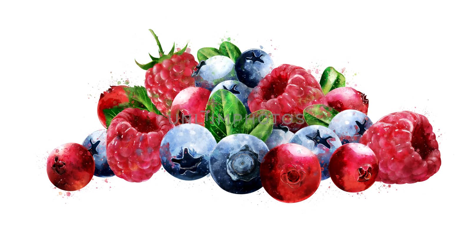 Raspberries, cranberries and blueberries on a white background.