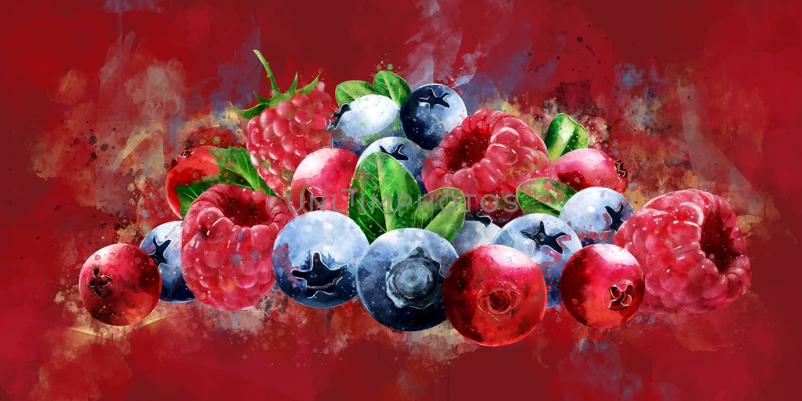 Raspberries, cranberries and blueberries on red background. Watercolor illustration by ConceptCafe