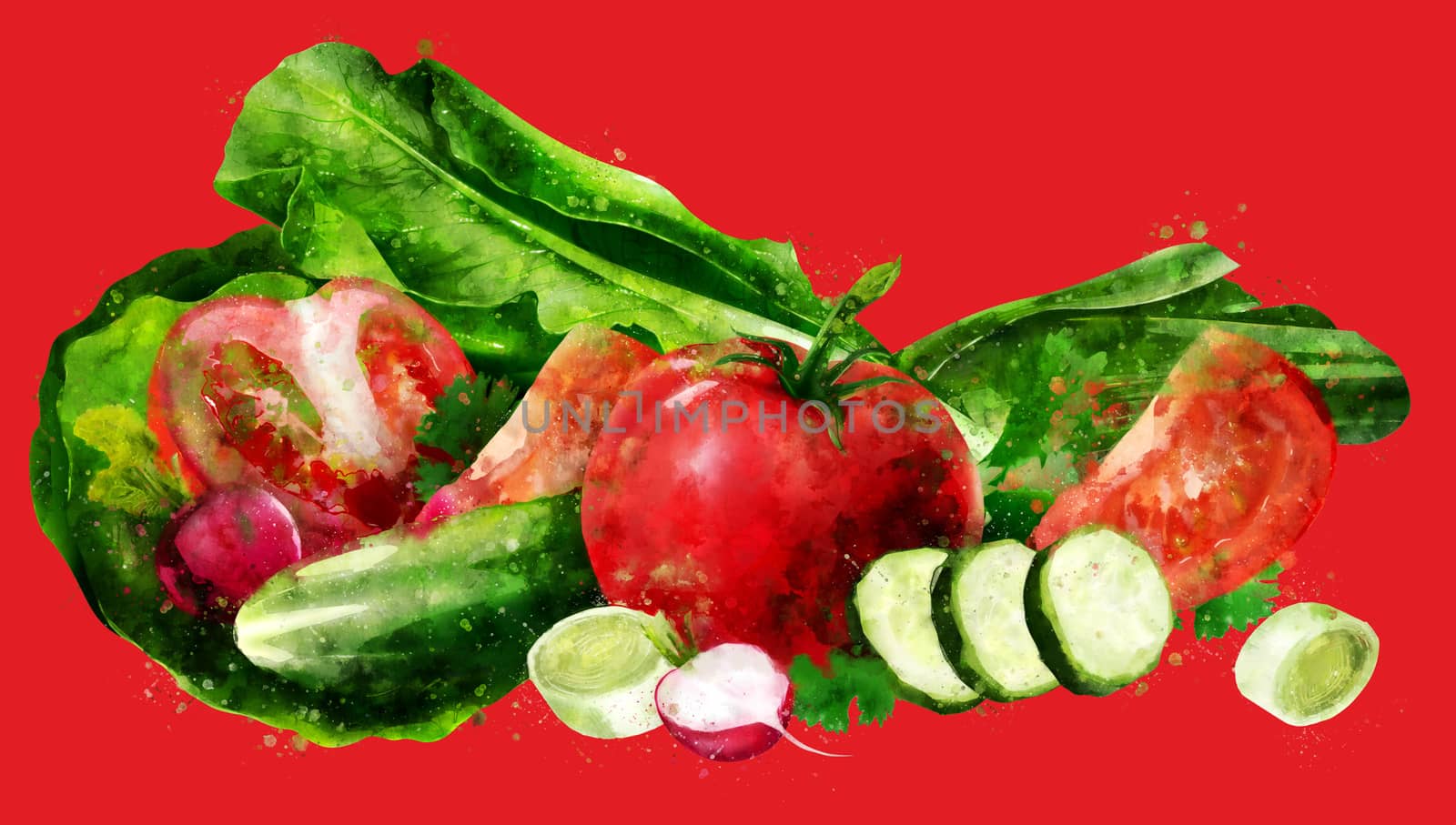 Tomato , cucumber and salad on red background. Watercolor illustration by ConceptCafe