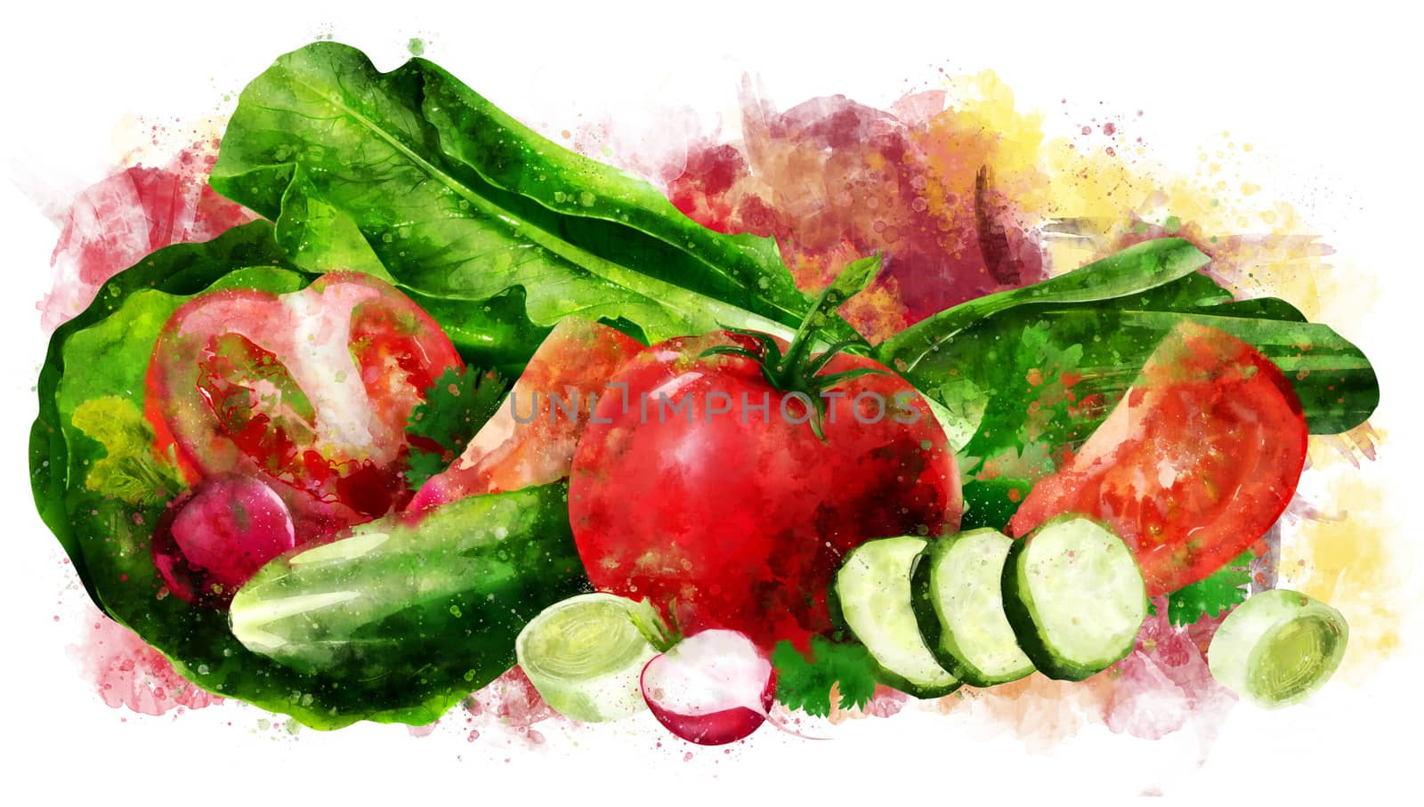 Tomato, cucumber and salad hand-painted illustration on a white background