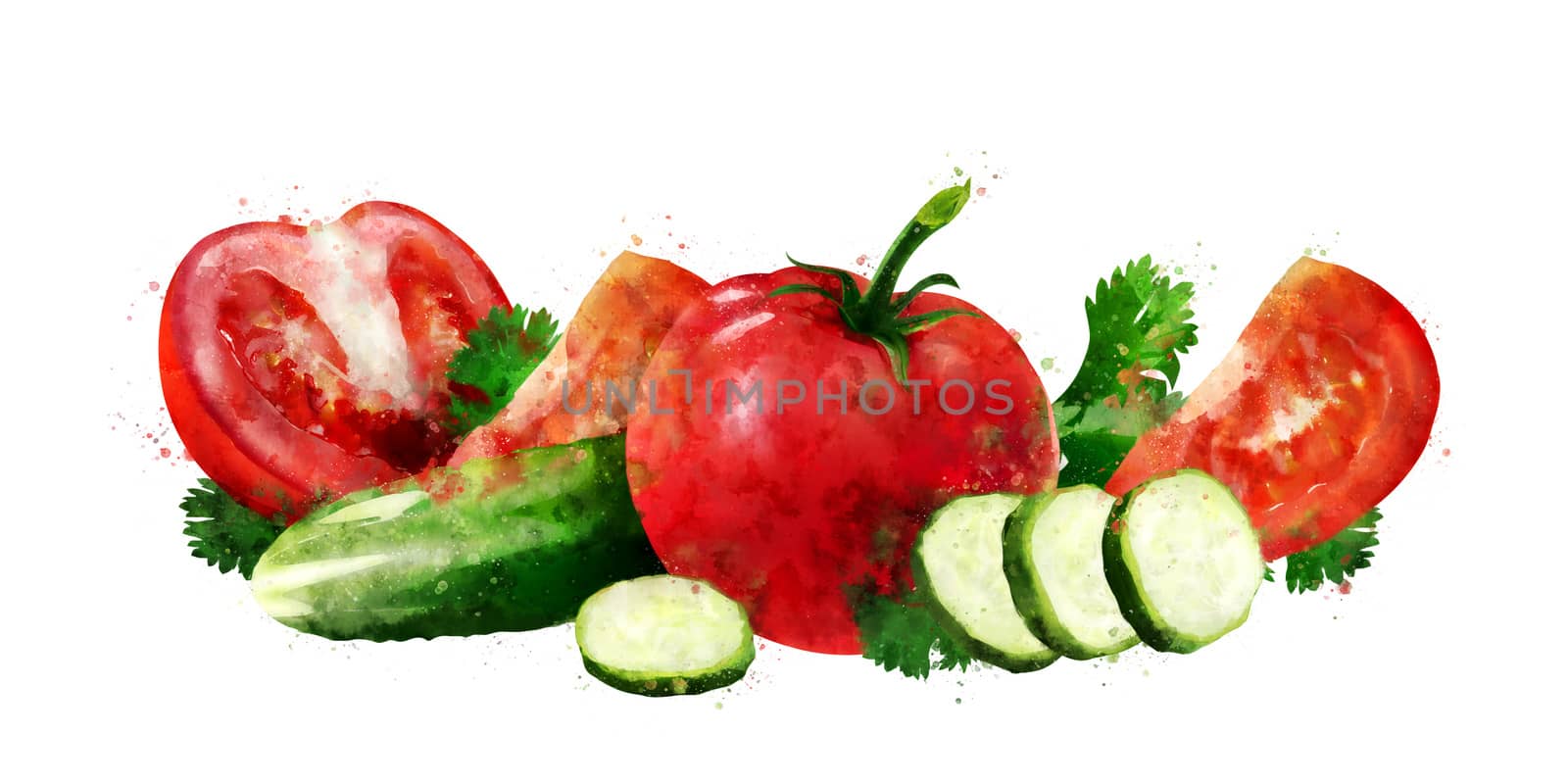 Tomato , cucumber and salad on white background. Watercolor illustration by ConceptCafe