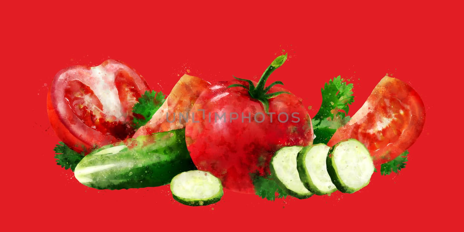 Tomato , cucumber and salad on red background. Watercolor illustration by ConceptCafe