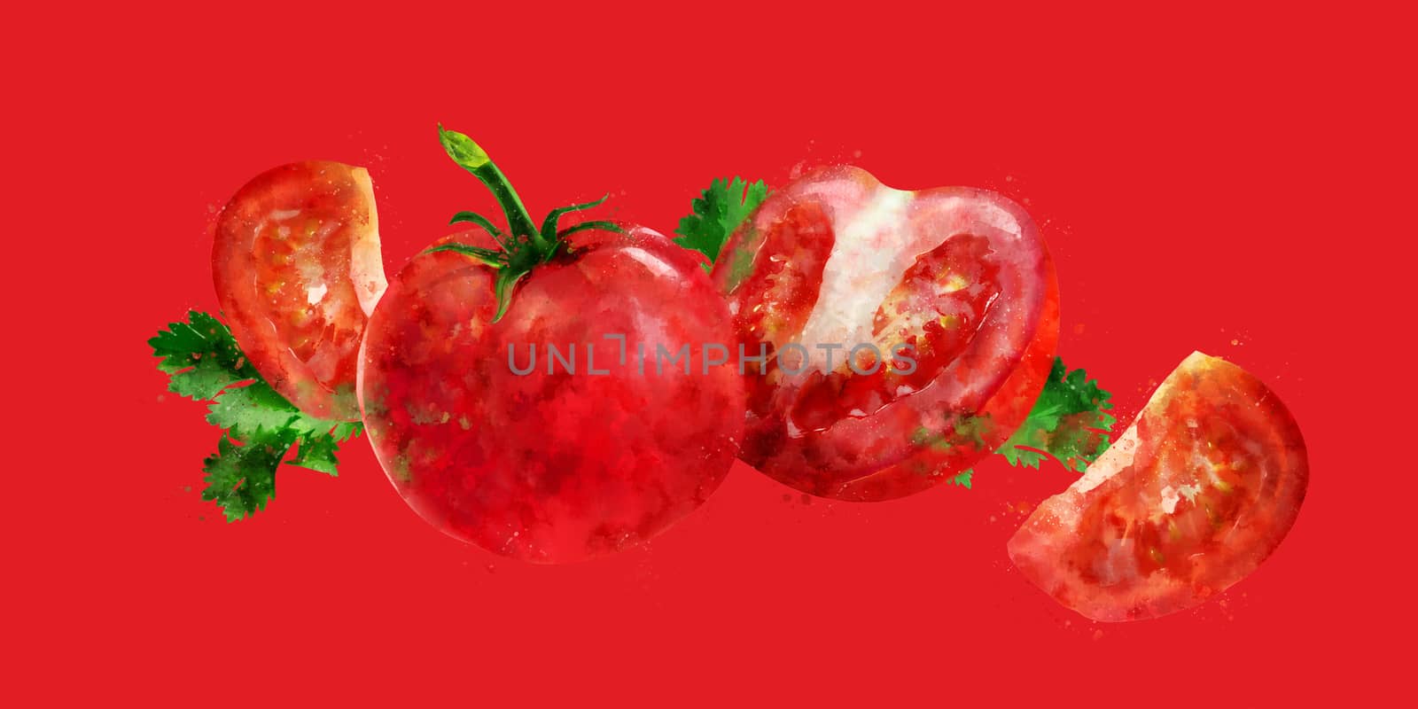 Tomato on red background. Watercolor illustration by ConceptCafe