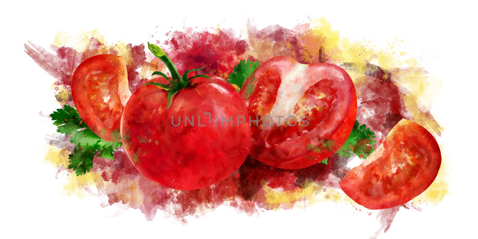 Tomato on white background. Watercolor illustration by ConceptCafe