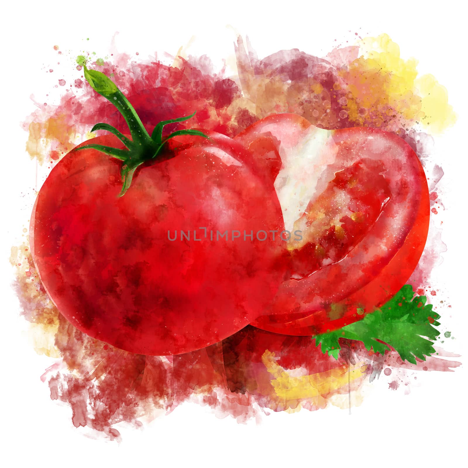 Tomato on white background. Watercolor illustration by ConceptCafe