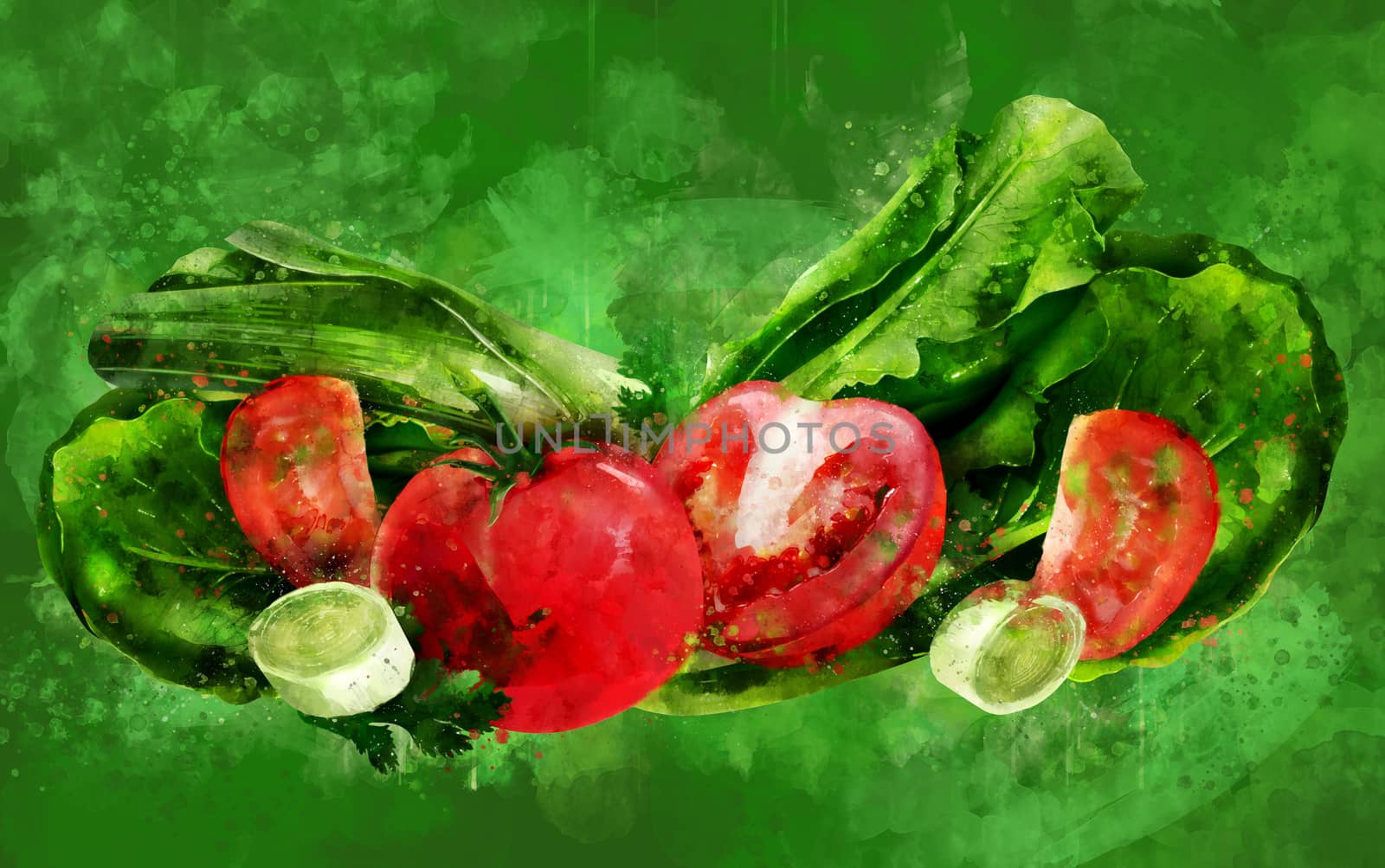 Tomato, cucumber and salad hand-painted illustration on a green background