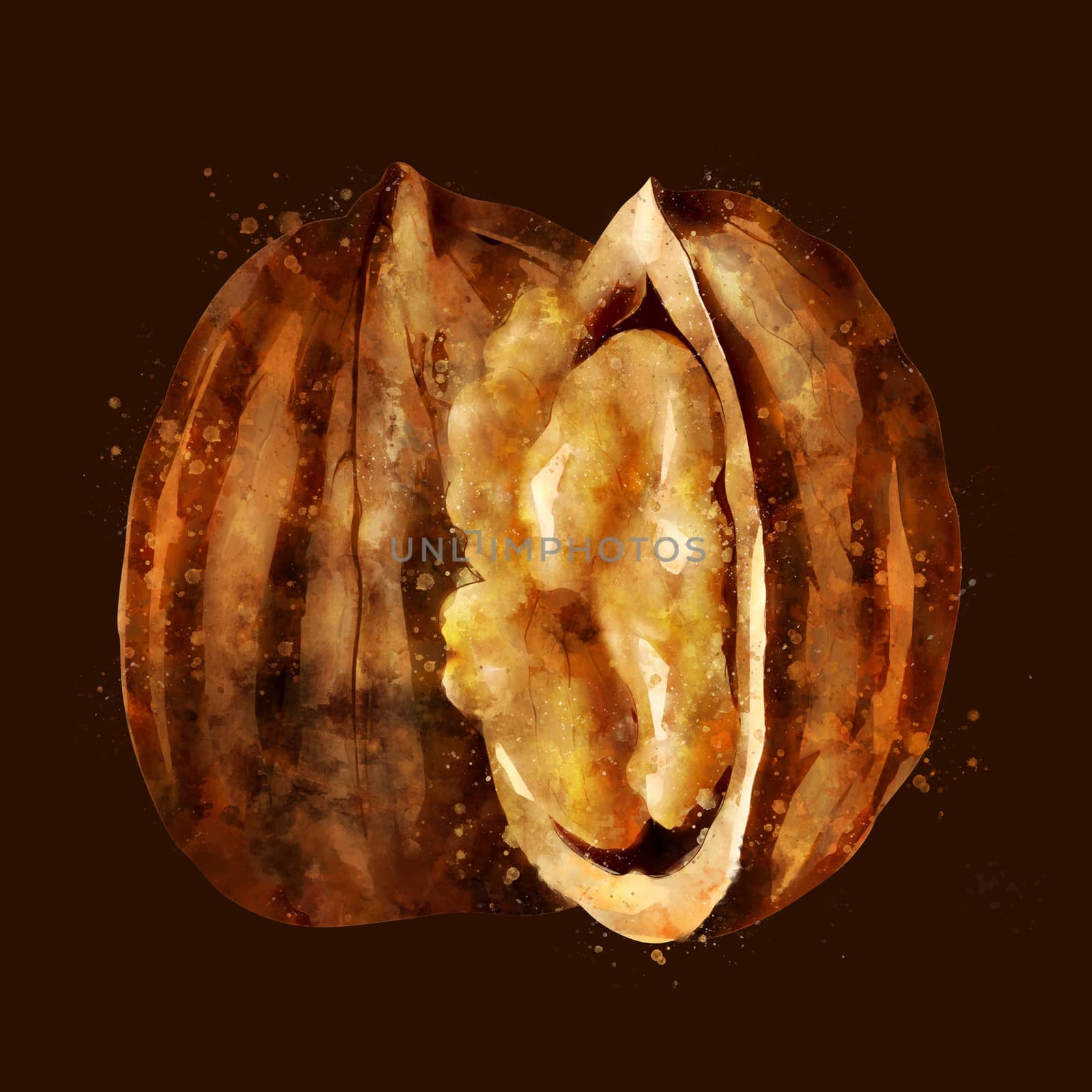 Walnut, illustration on a brown background