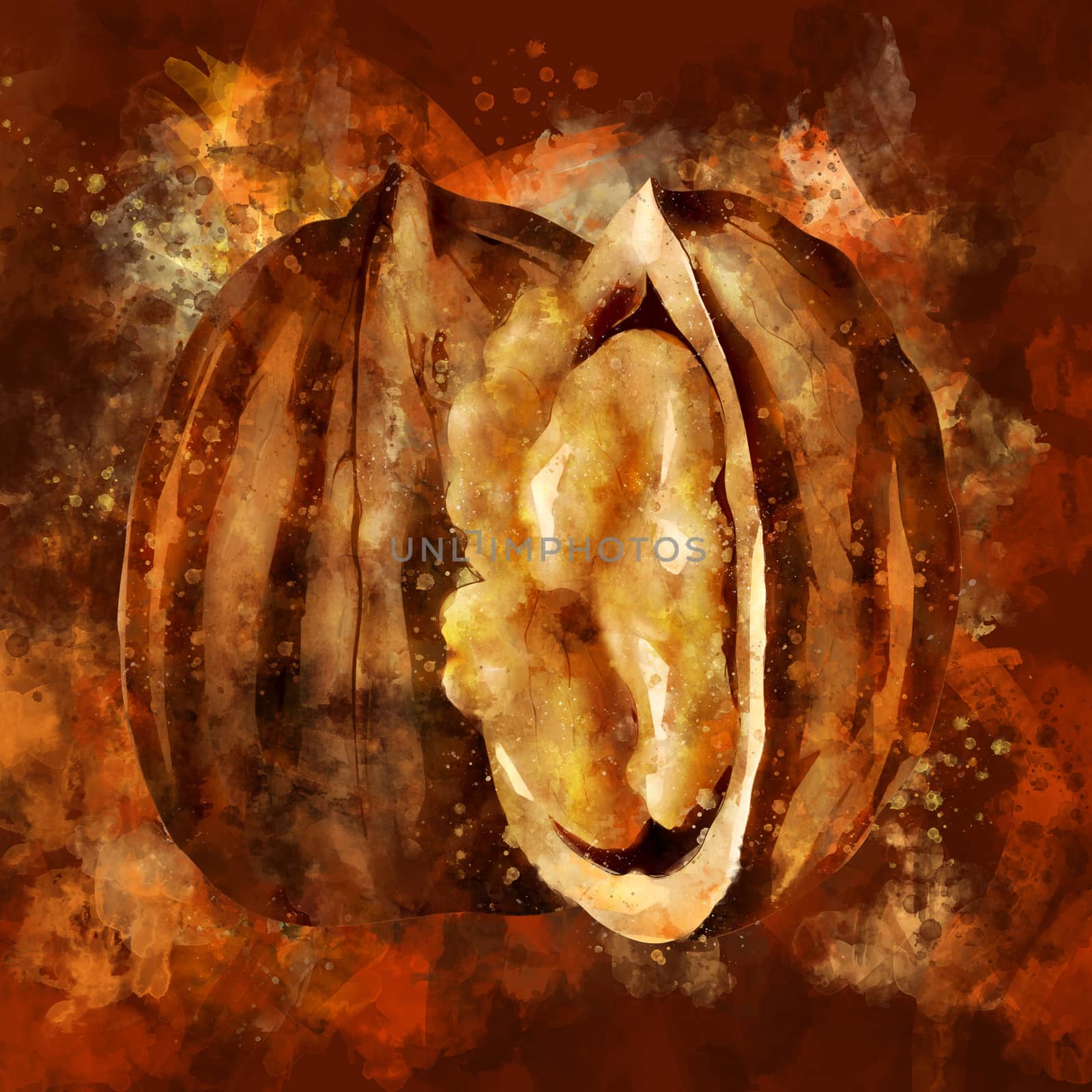 Walnut, illustration on a brown background