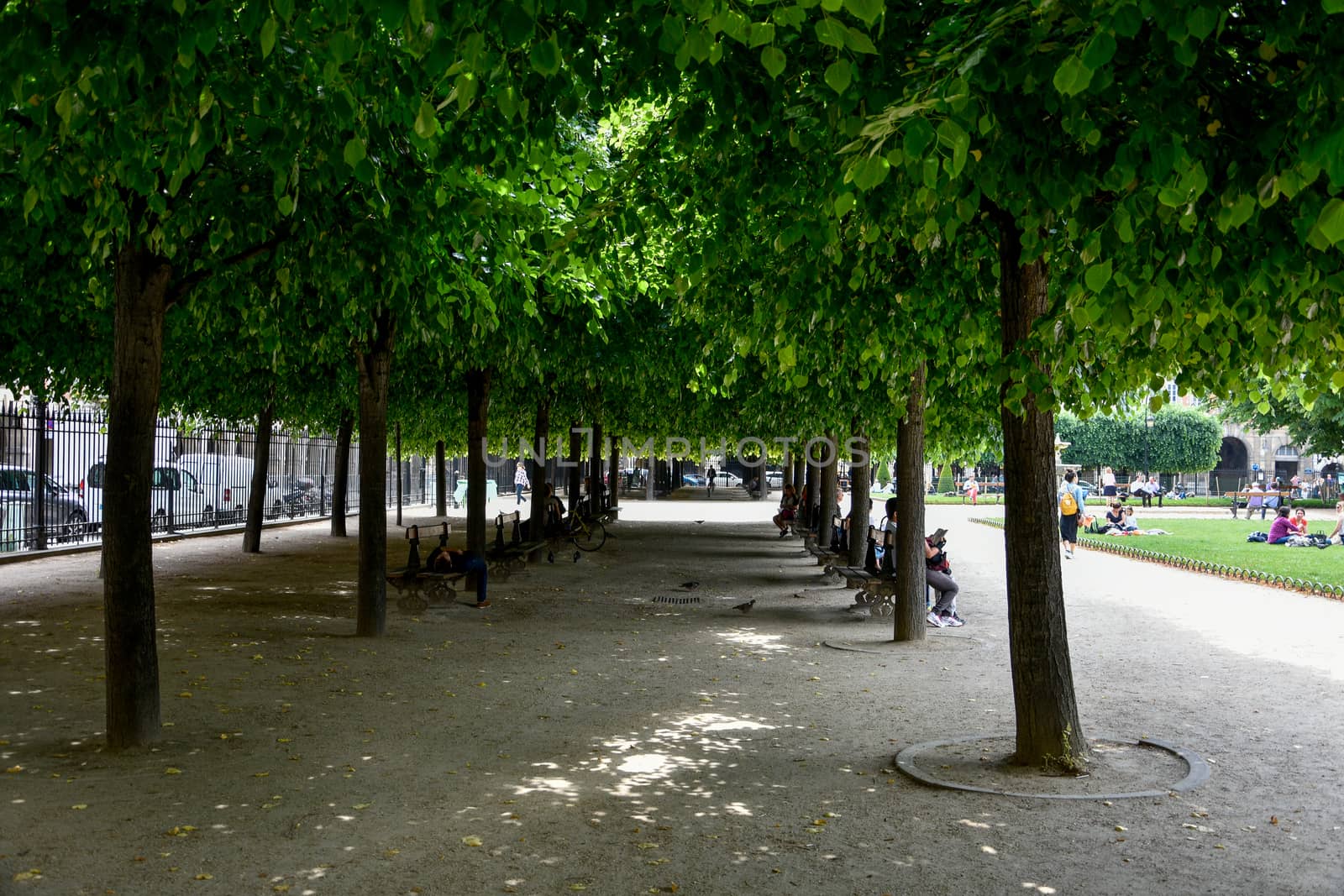 visit of Paris, Seine quay and Eiffel tower, walk in the parks of the capital of France in summer