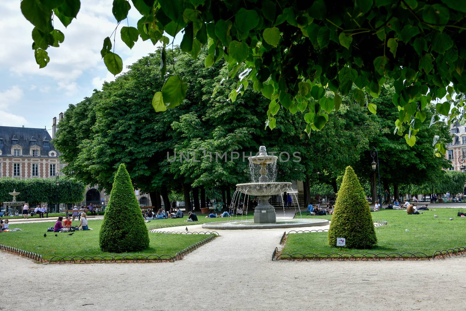 visit of Paris, Seine quay and Eiffel tower, walk in the parks of the capital of France in summer
