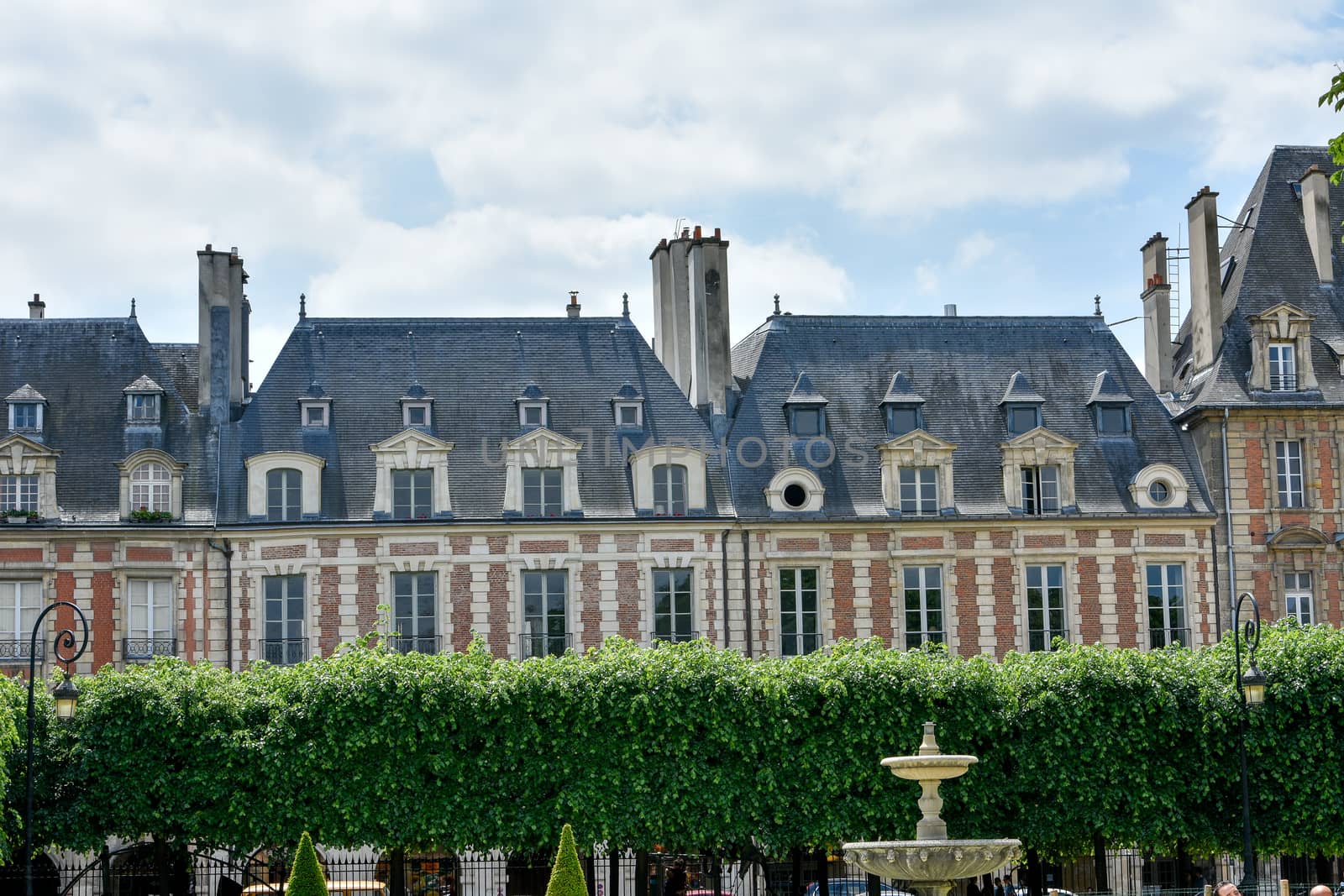 visit of Paris, Seine quay and Eiffel tower, walk in the parks of the capital of France in summer