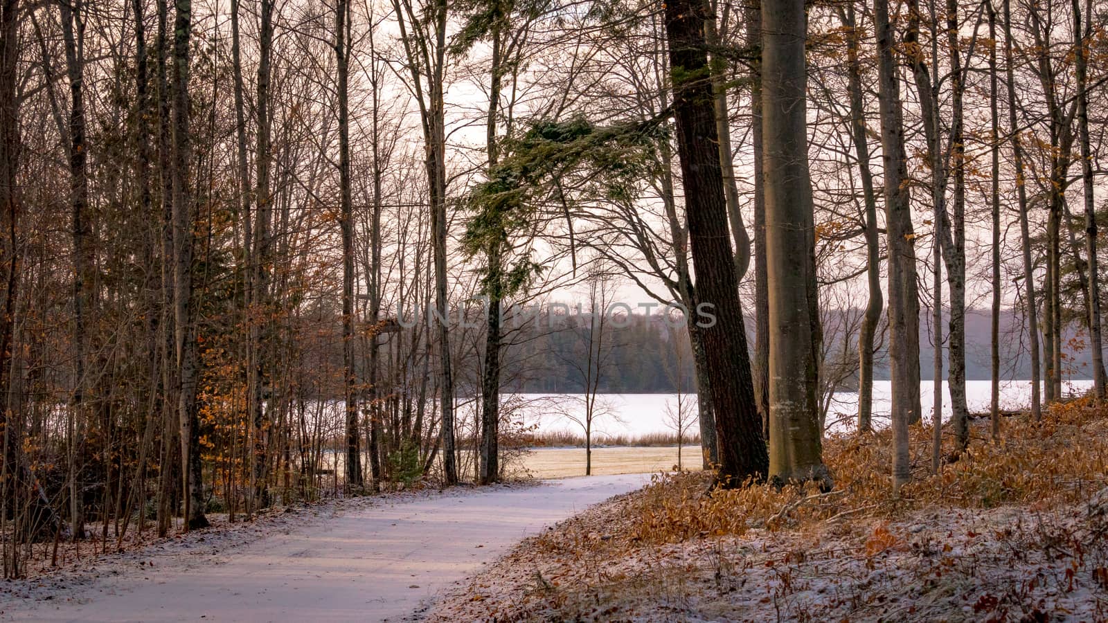 A snowy rural road curves towards the lake on a waterfront property in winter.