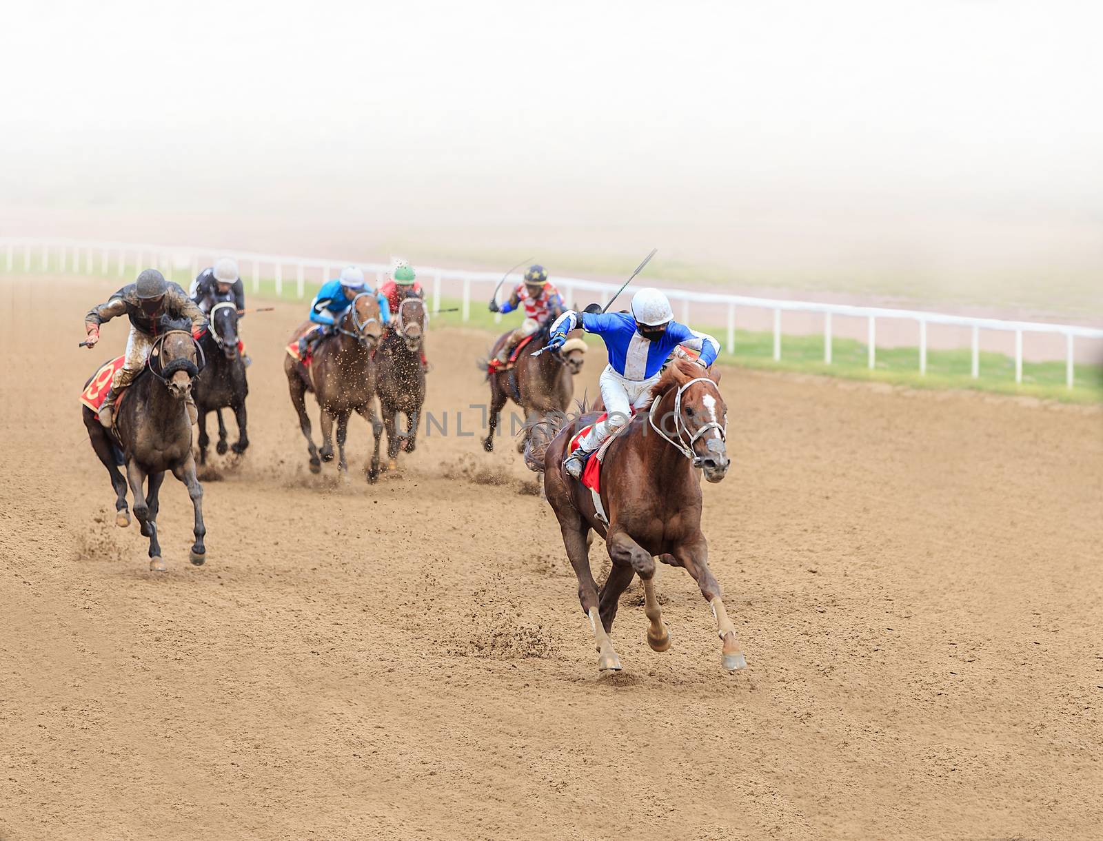 jockey horse racing isolated on white background by dikkens