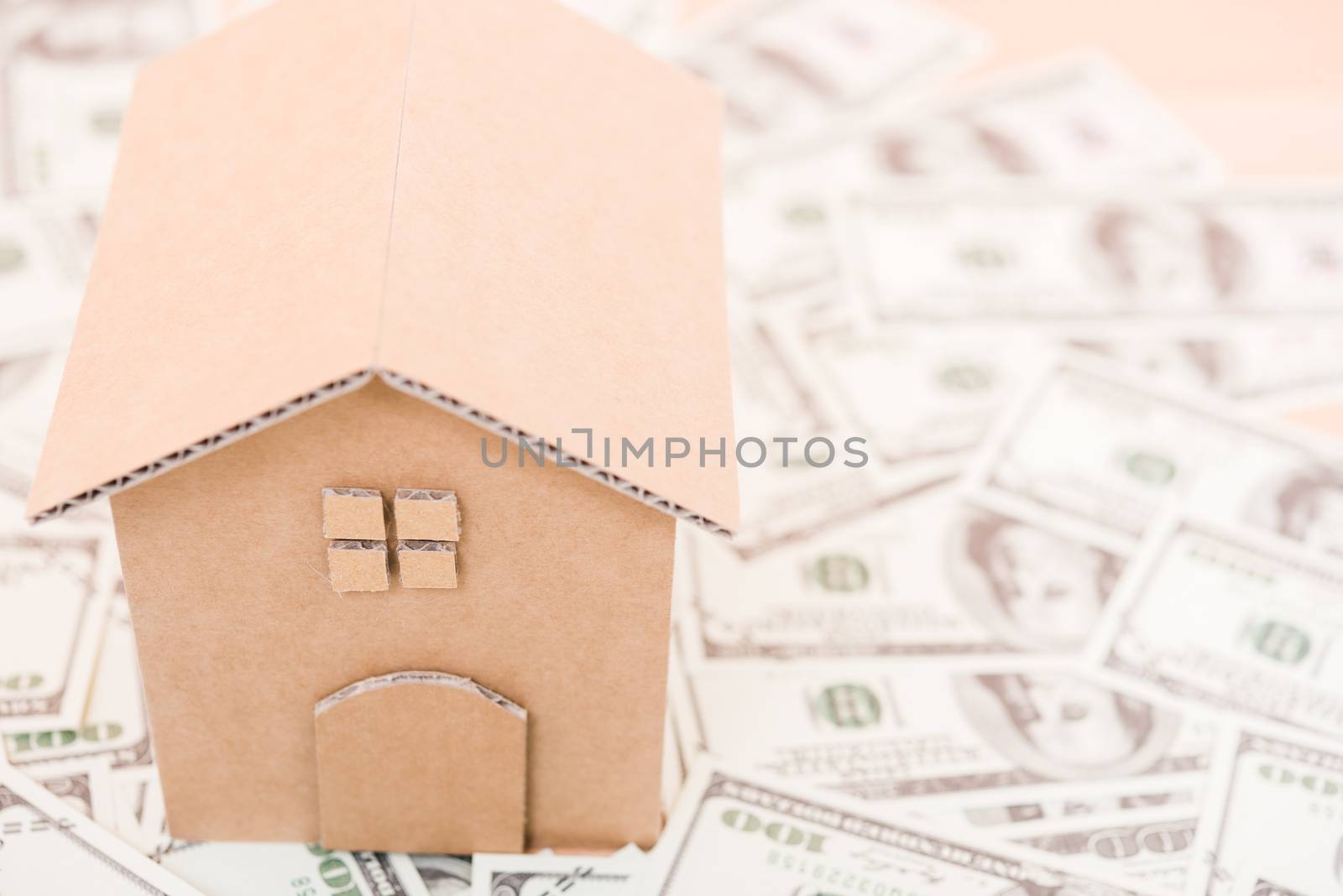 House cardboard model on dollar money, currency money concept