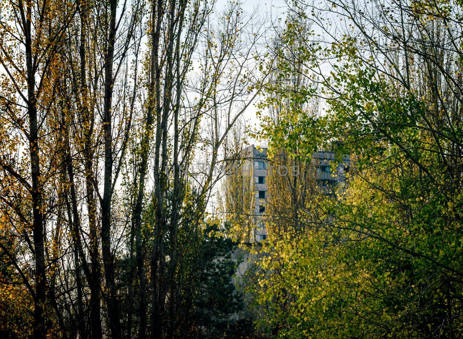 old empty big house on the street of the abandoned city Chernobyl Ukraine in autumn