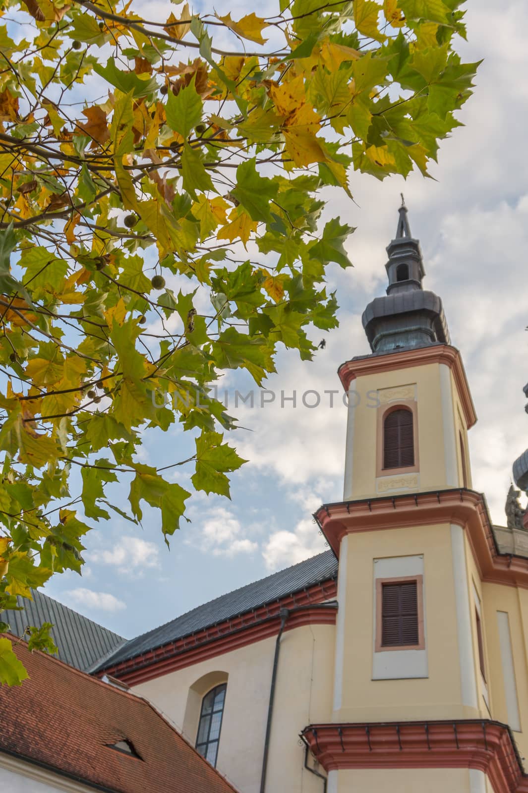 Litomysl, Czech Republic, Tower od Church of the Discovery of the Holy Cross with leaves in autumn, Church is in baroque style. In czech language: Kostel Nalezeni svateho Krize. by petrsvoboda91