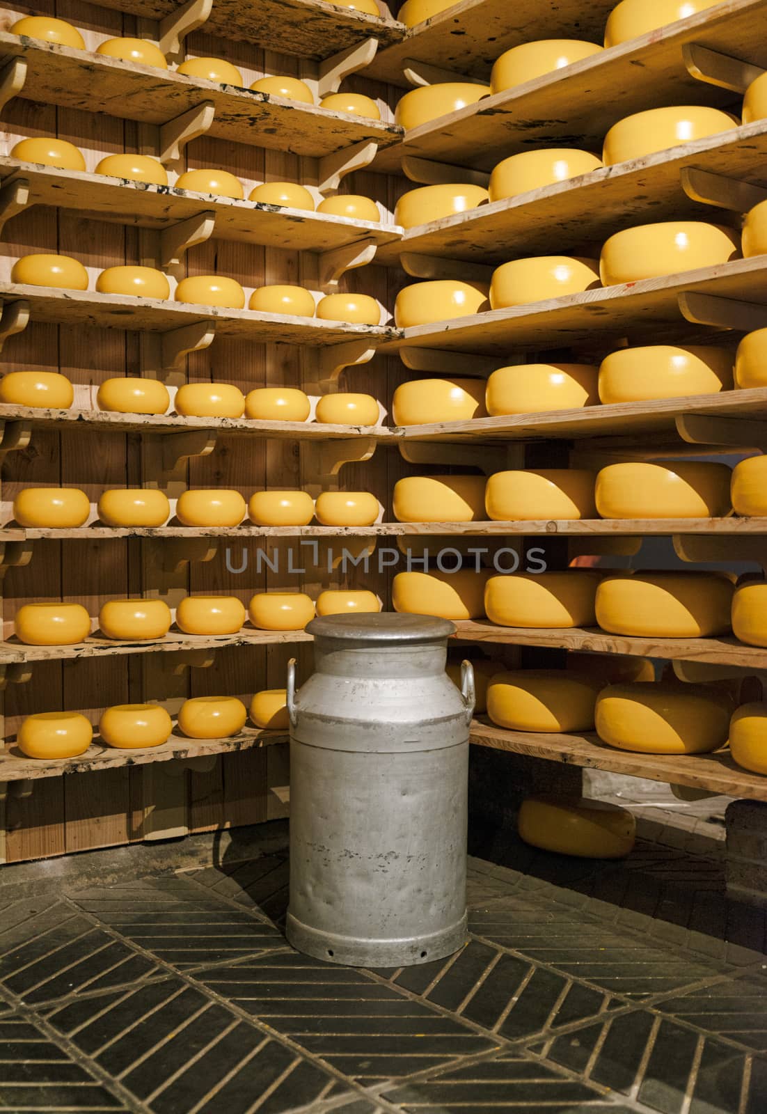 shelves with dutch fresh cheese and a milk can in holland 