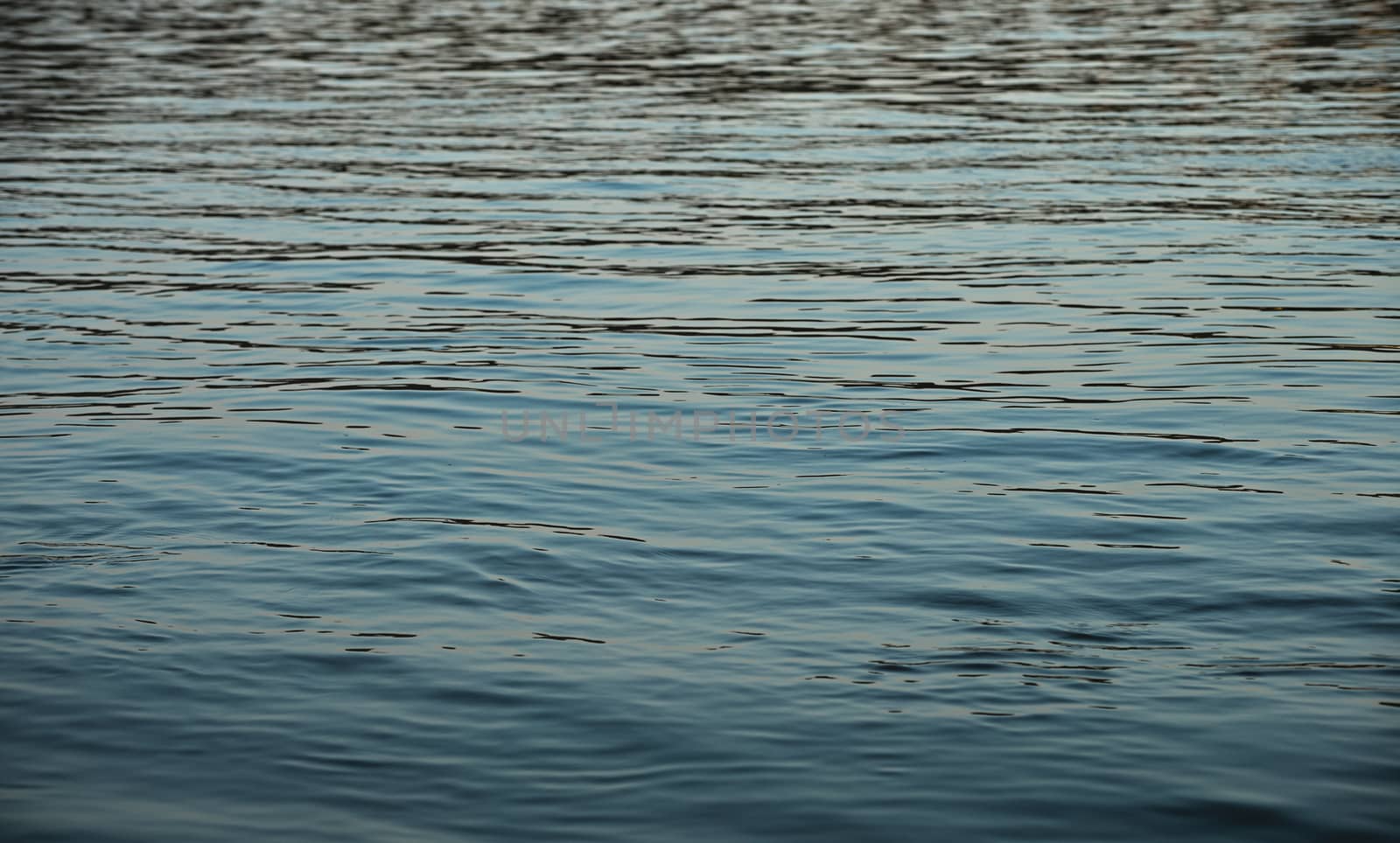 View on tranquil water of river Danube