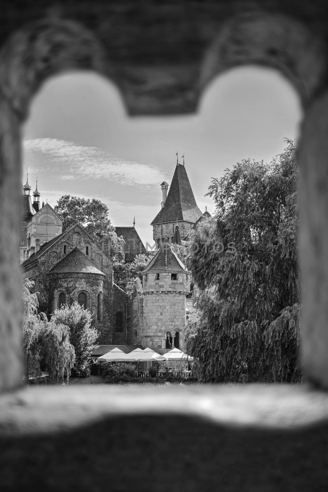 Magical fairy tale castle. Fairy tale concept. Different view of Vajdahunyad Castle in the City Park of Budapest, Hungary, Europe. Black and white photograph.