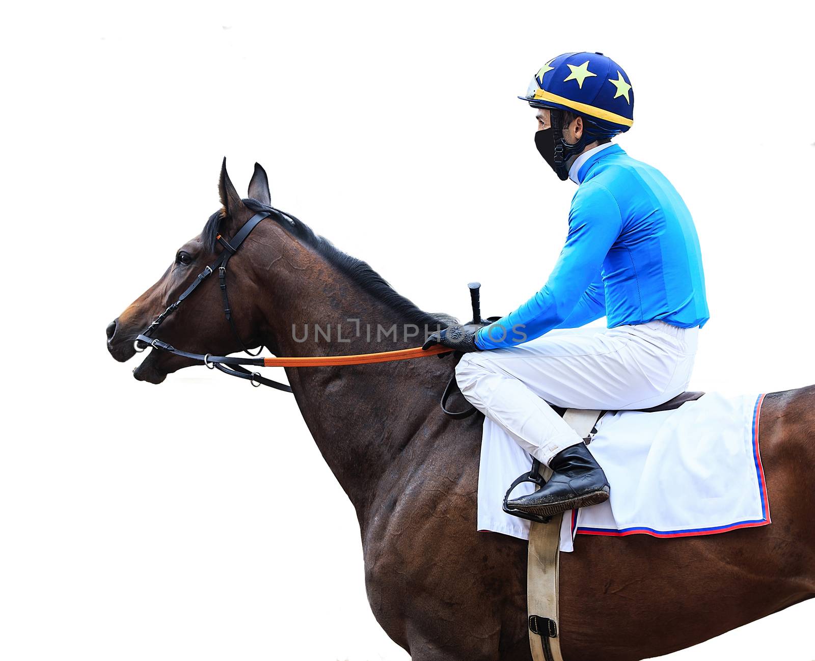 jockey horse racing isolated on white background