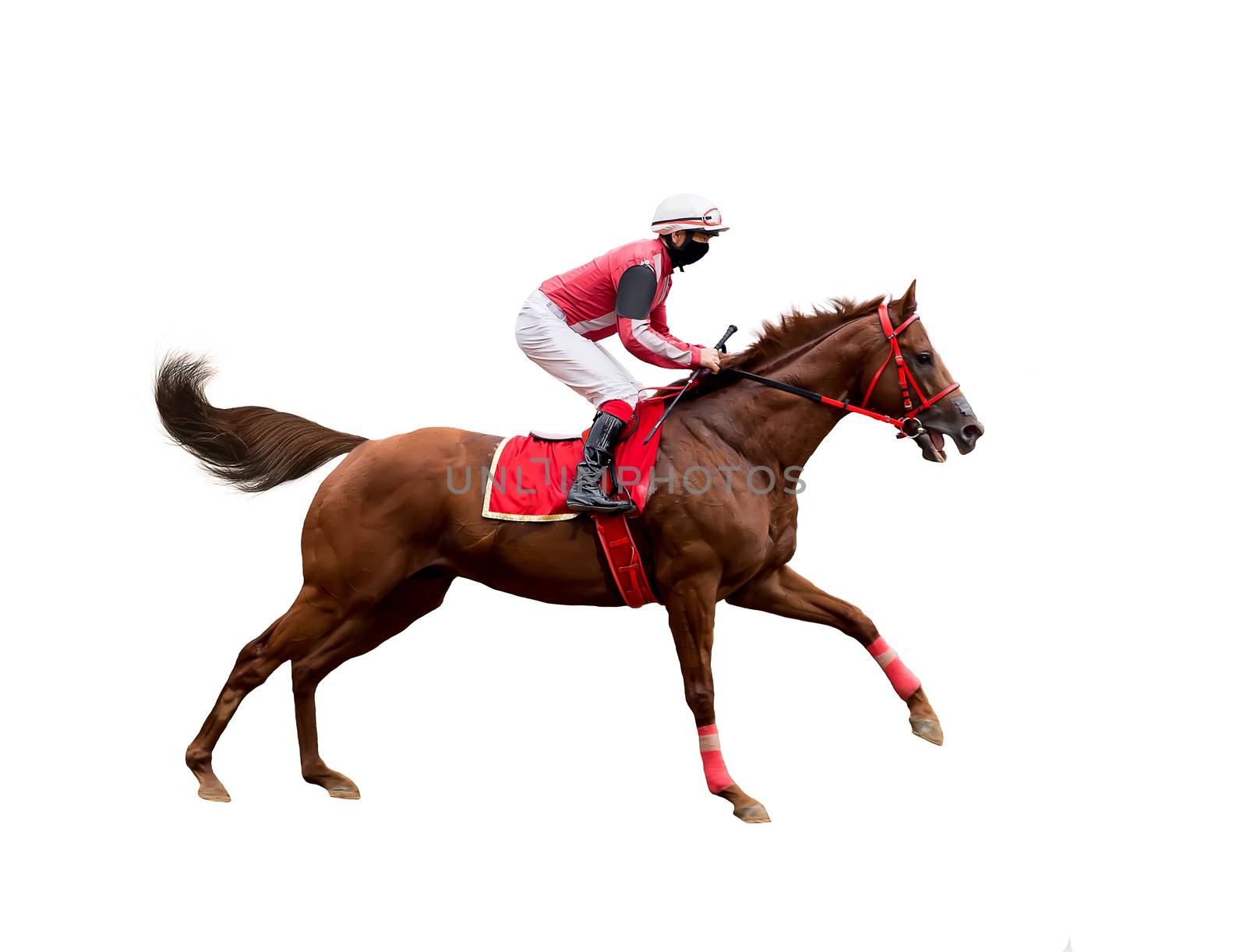 jockey horse racing isolated on white background by dikkens