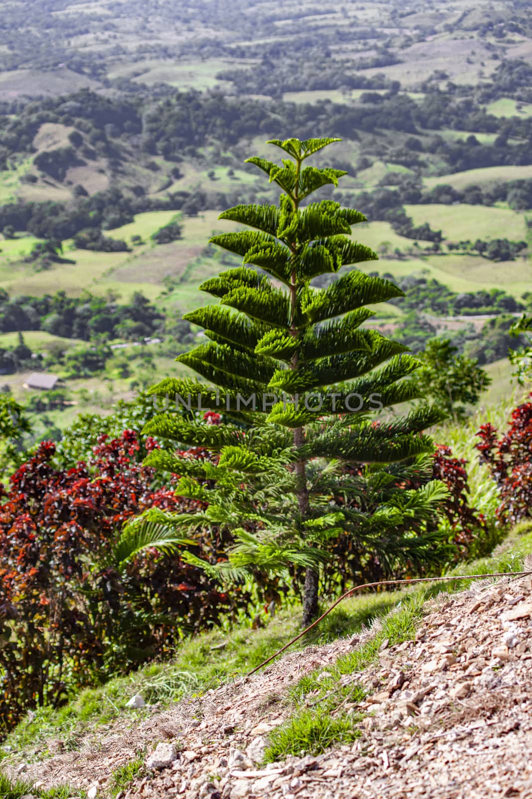 Panorama of the view from the height of Montaña Redonda in the Dominican Republic