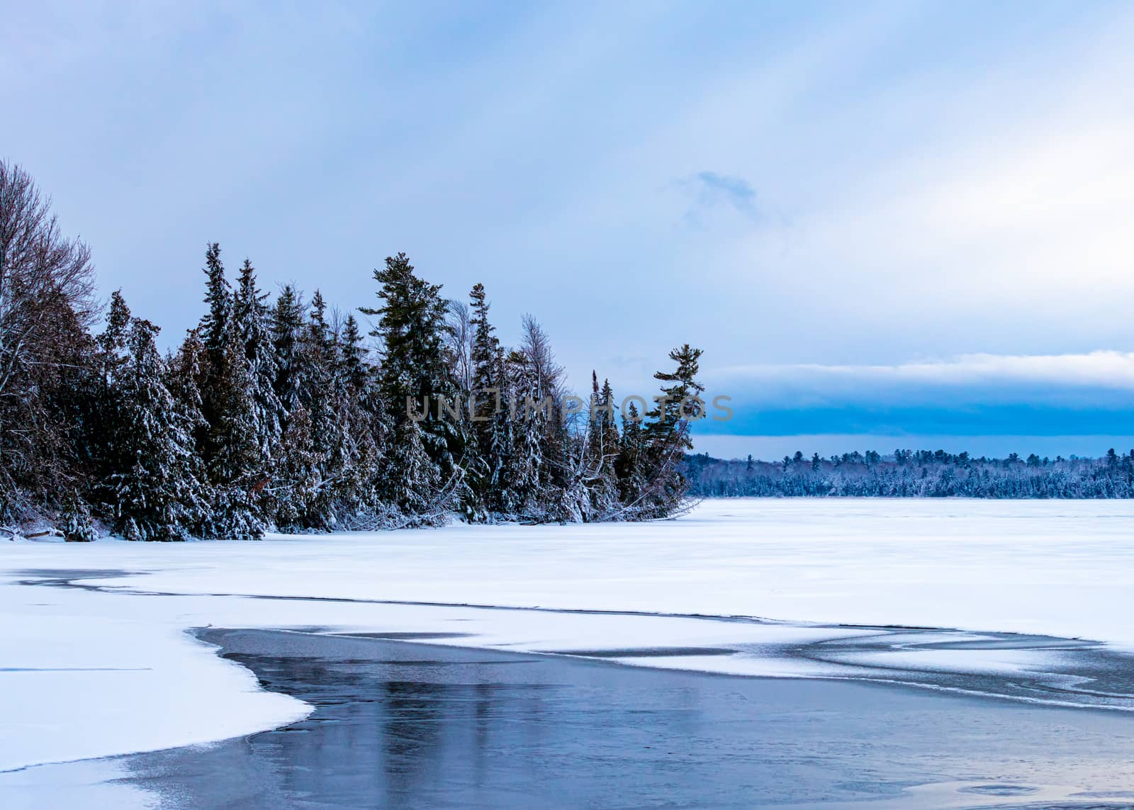 Snowy evergreen pine trees on a freezing lake by colintemple