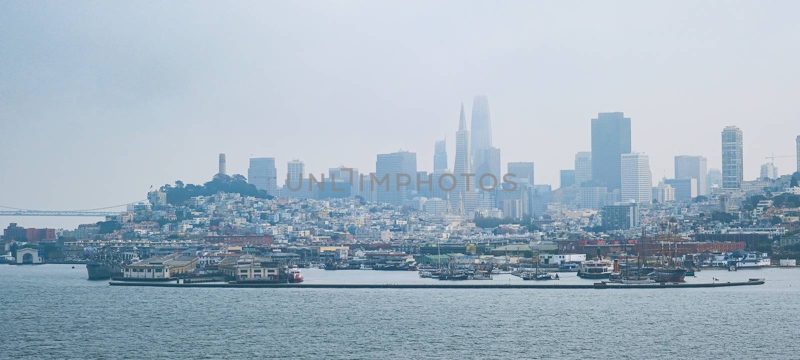 Foggy Coast of San Francisco Across the Harbor from the Bay