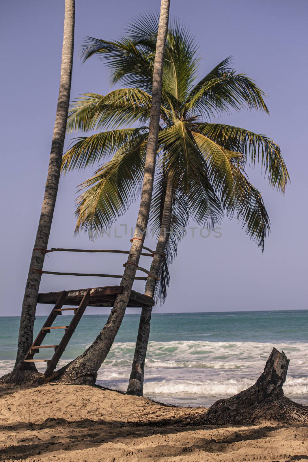 Panorama of the beautiful and natural beach of Playa Limon in the Dominican Republic