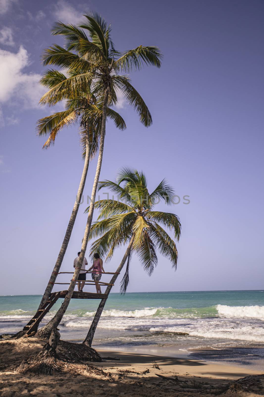 Playa Limon in Dominican republic 7 by pippocarlot