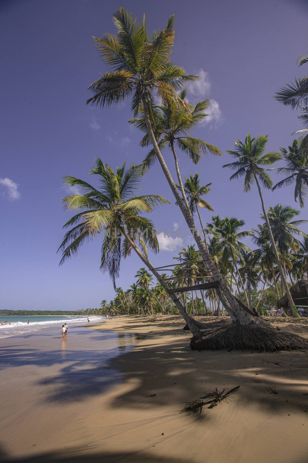 Panorama of the beautiful and natural beach of Playa Limon in the Dominican Republic