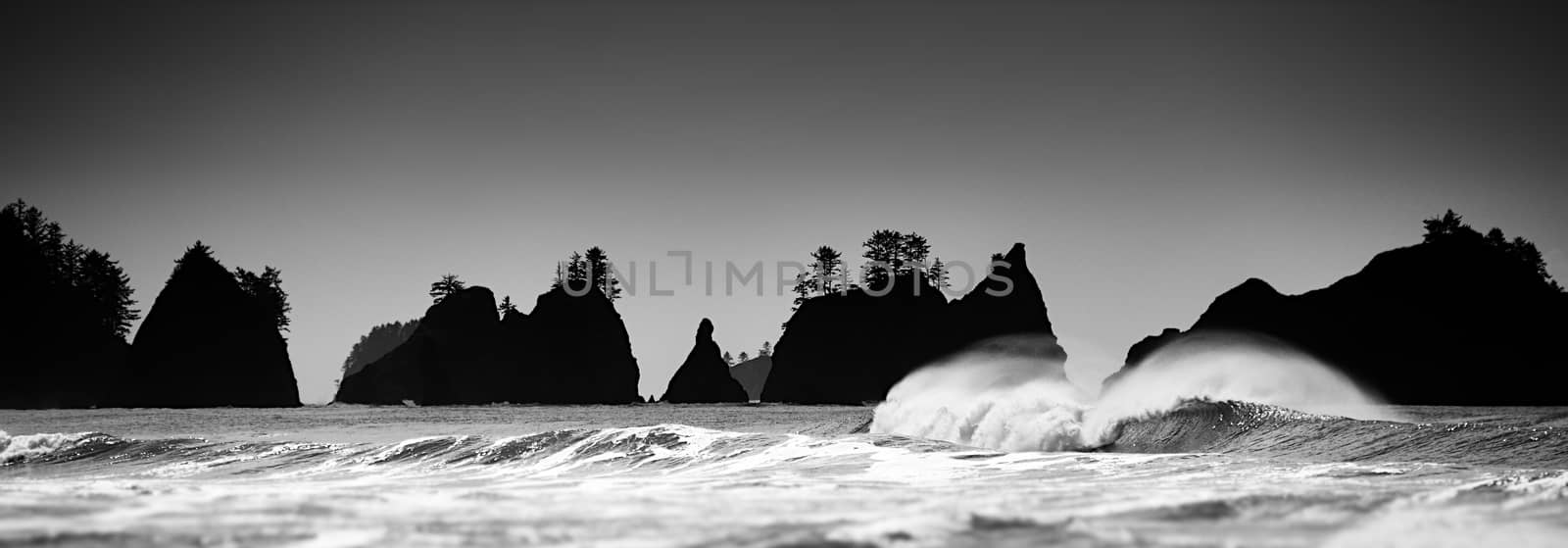 Pacific Coast Seascape with islands and waves