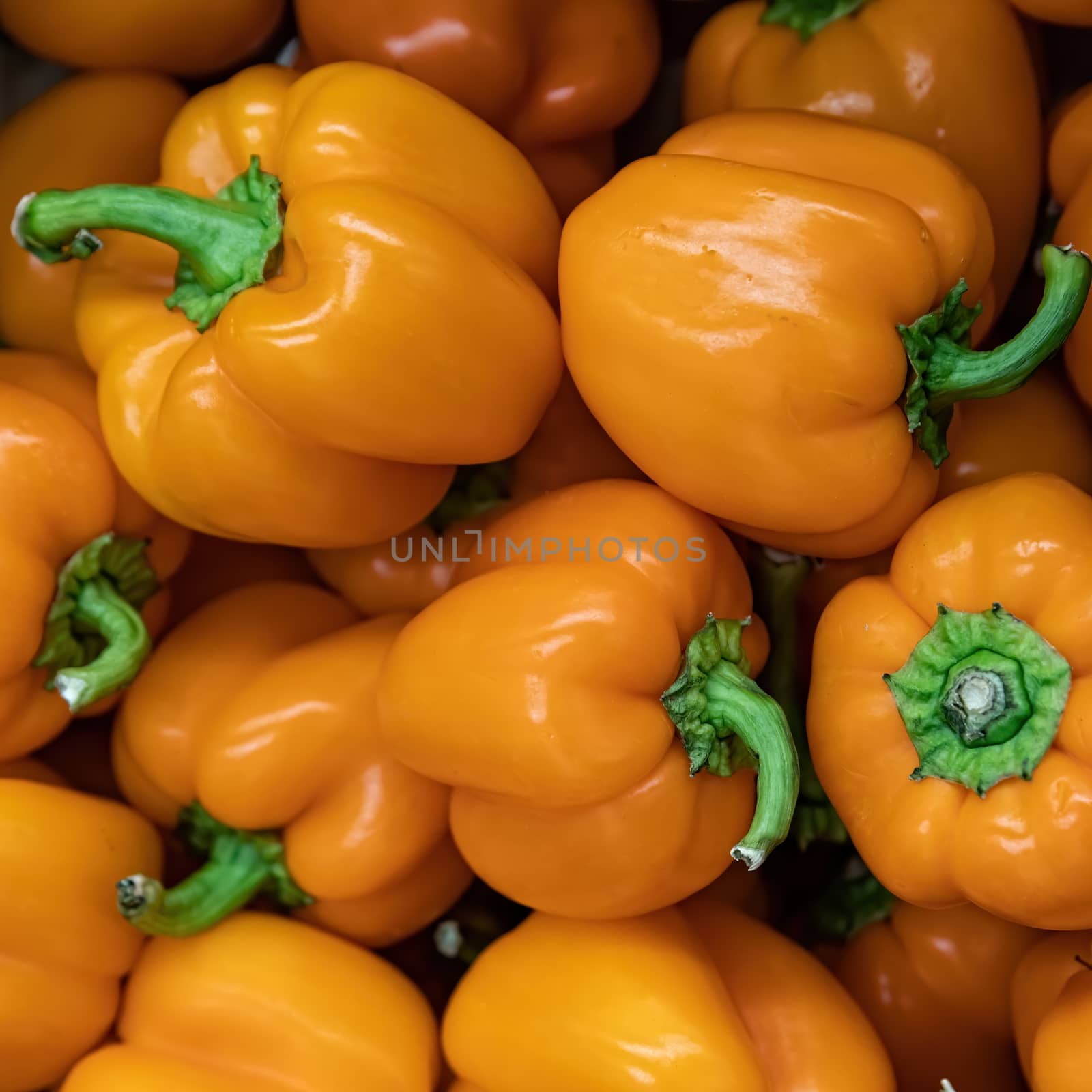 Lot of peppers at market place by bonilook