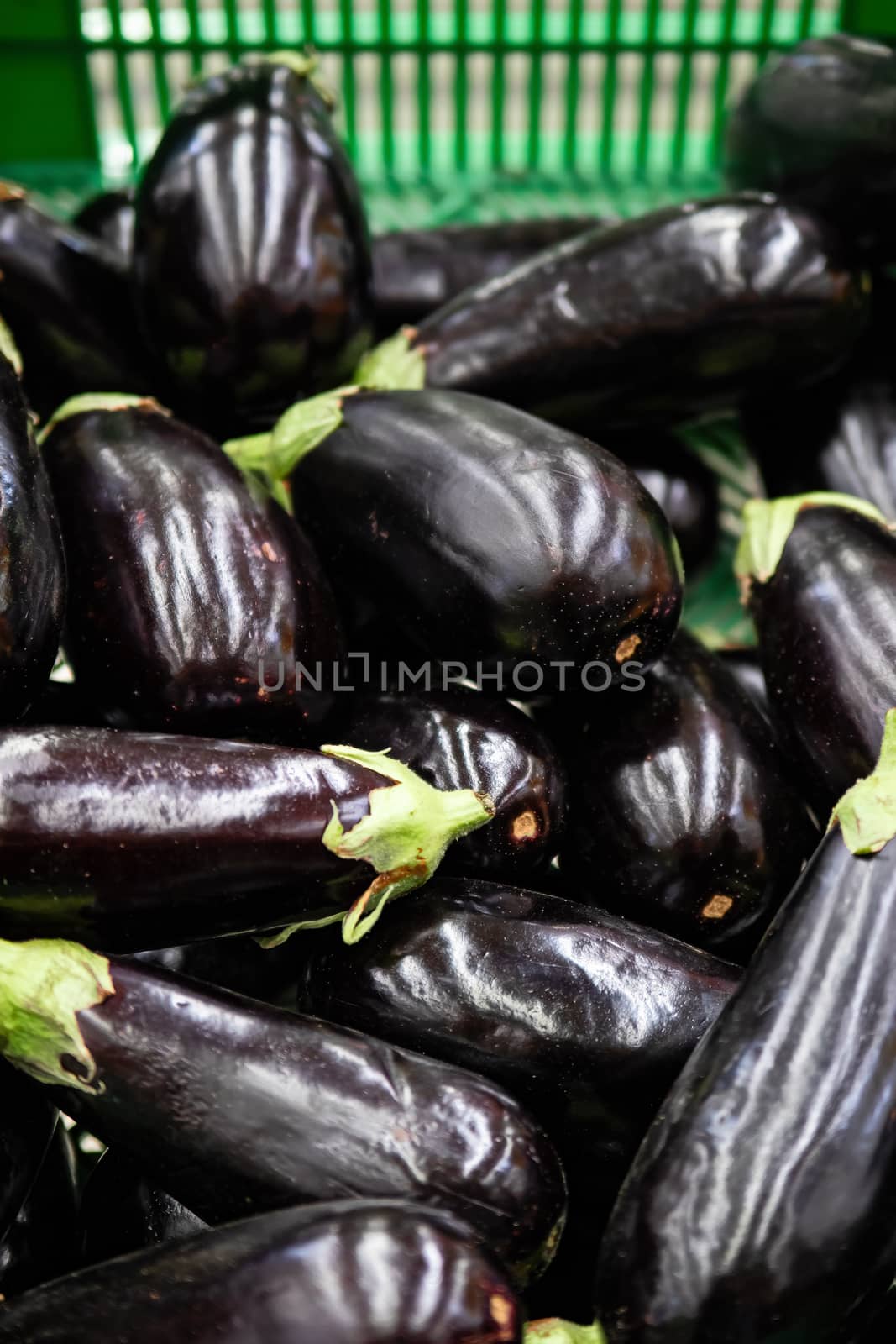 Eggplants lined up at the grocery store. Close up view.