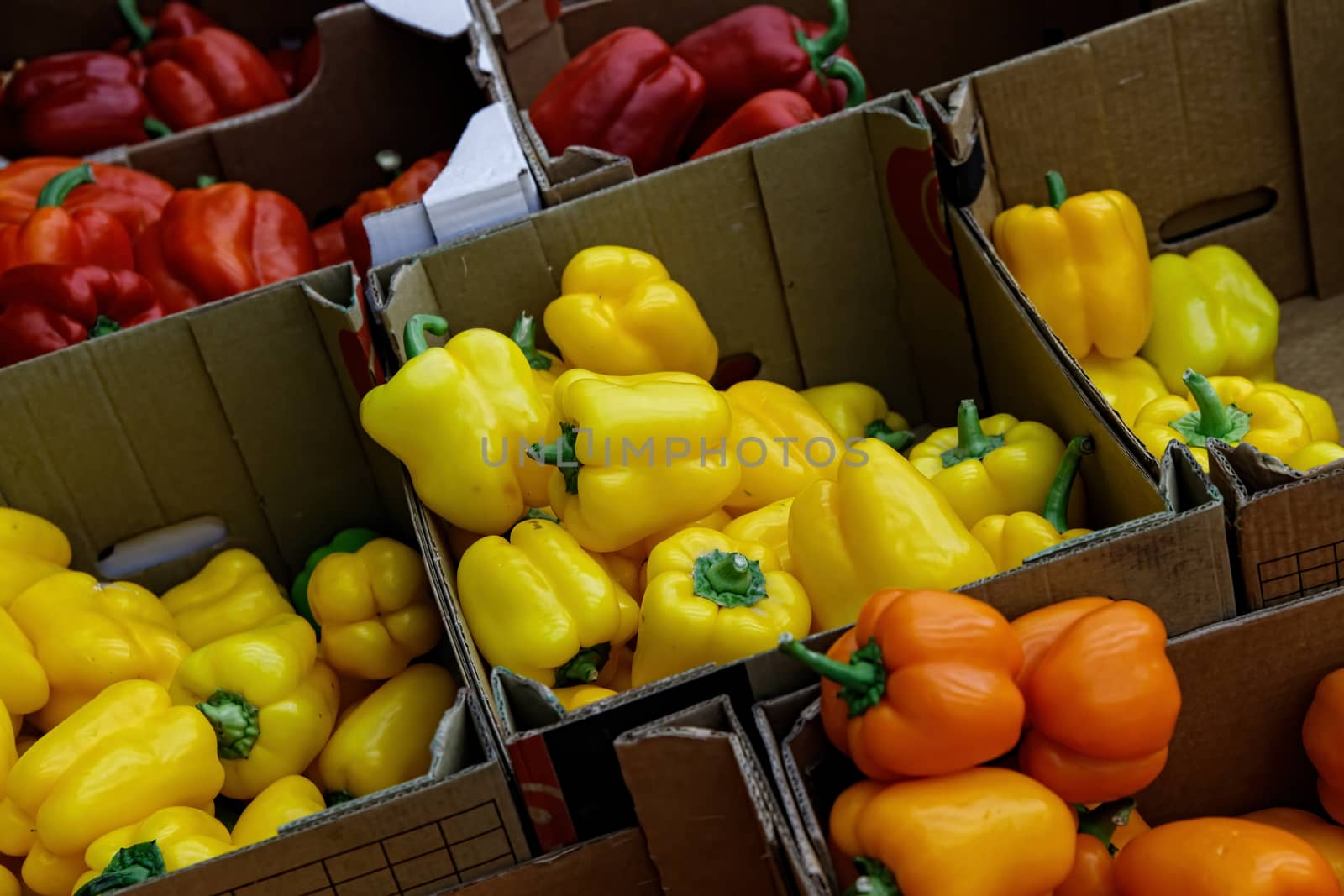 Yellow, red, orange bell pepper in boxes is put up for sale in the grocery store. Healthy, full of vitamins, food for vegetarians