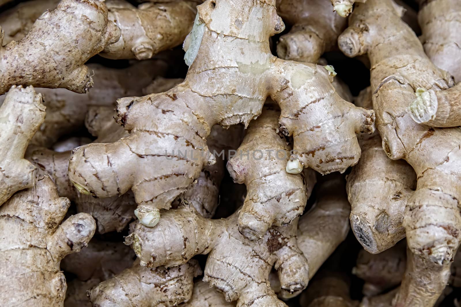 Fresh organic ginger at the grocery store. Healthy product. A bunch of ginger root. Close - up of ginger texture.