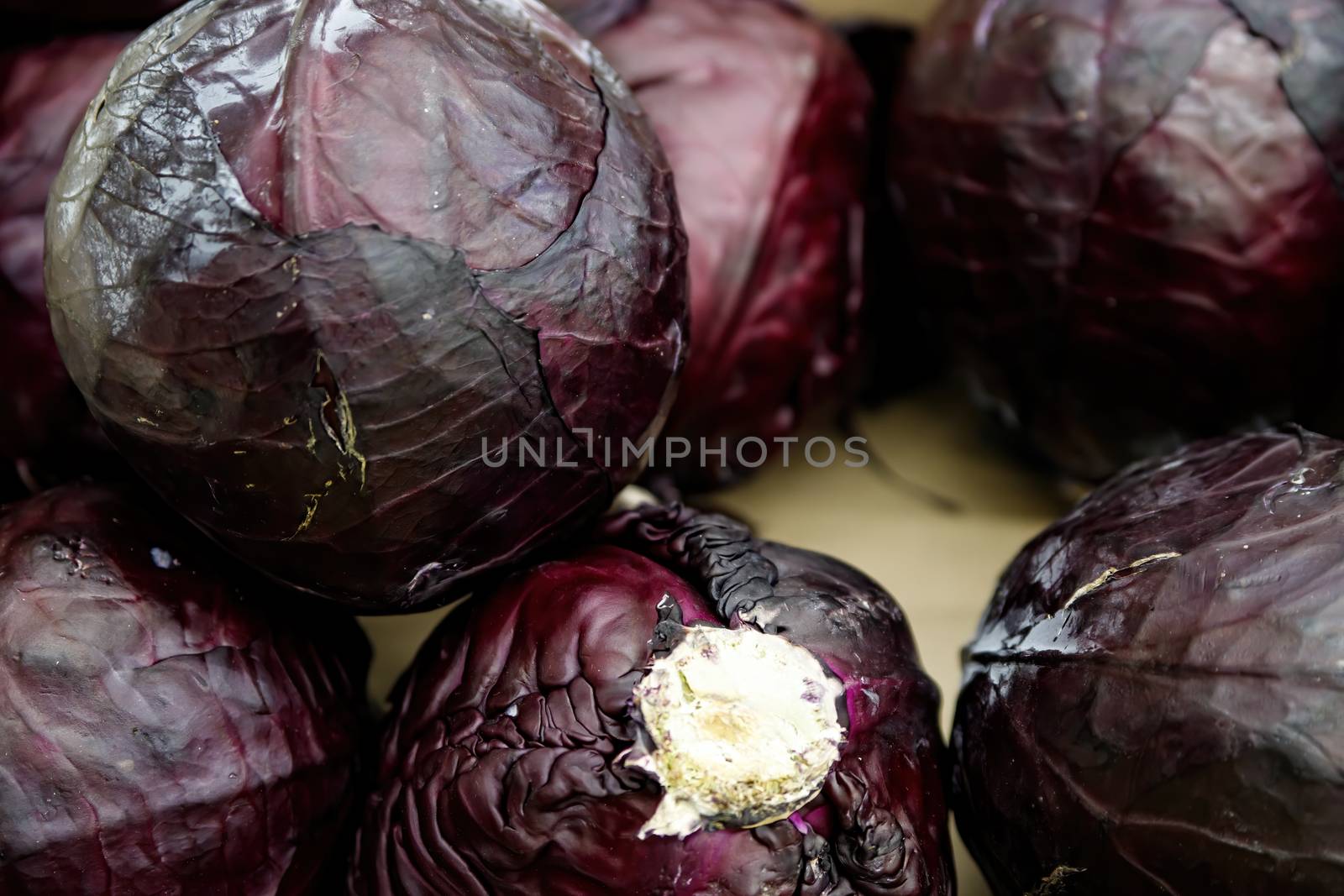 Round purple red cabbage in the supermarket. Healthy food. Vegetarian food rich in vitamins and minerals